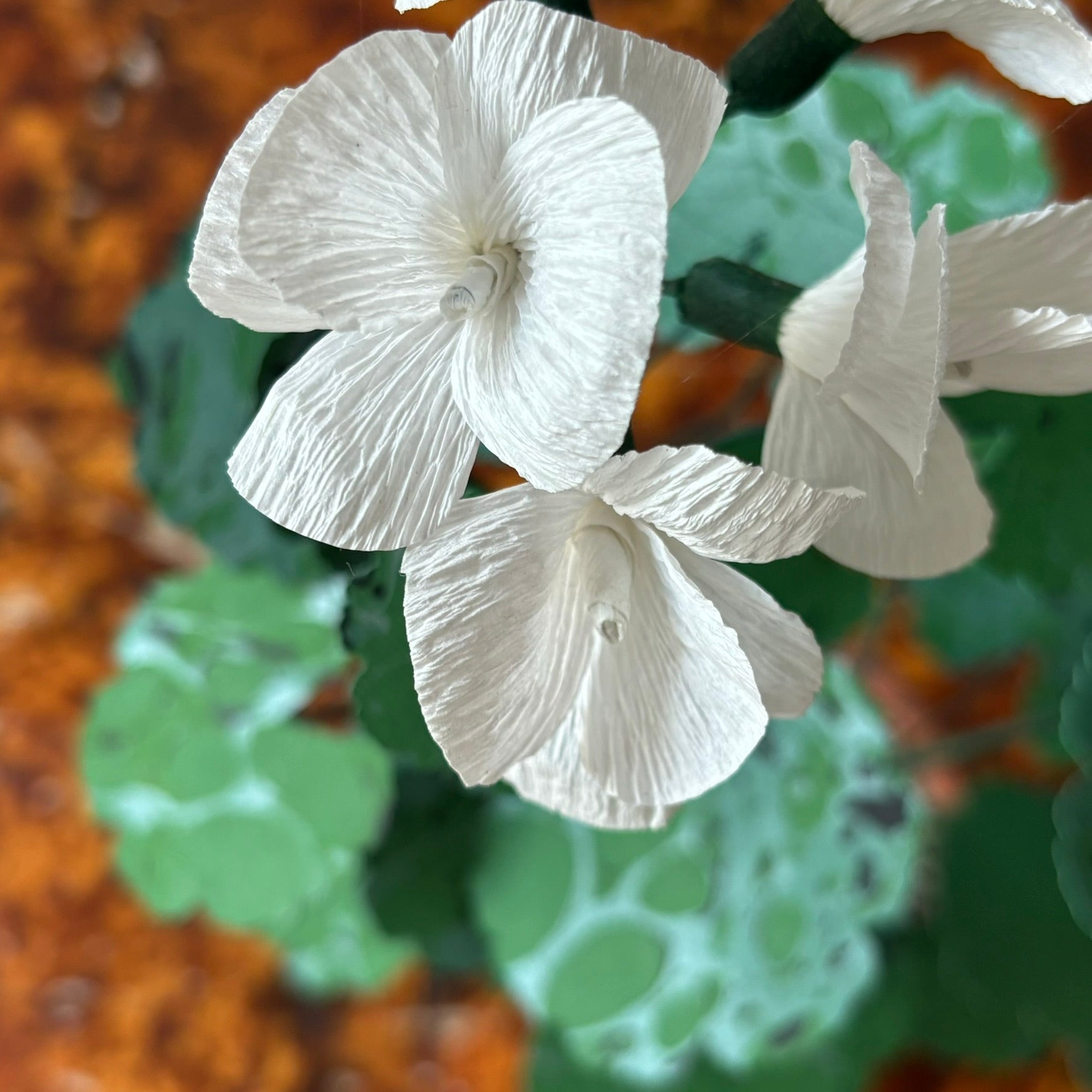 Paper Geranium