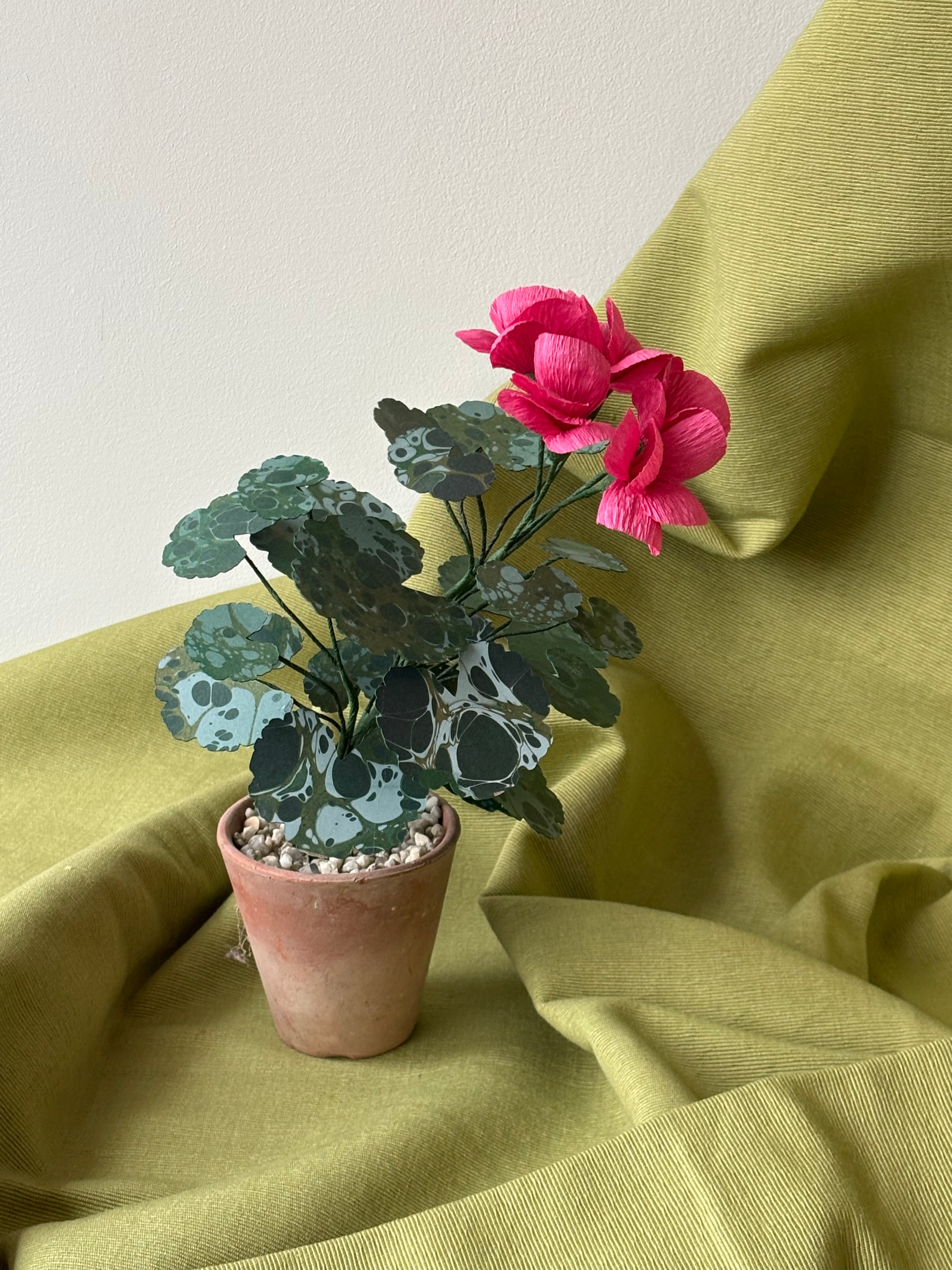 Paper Geranium