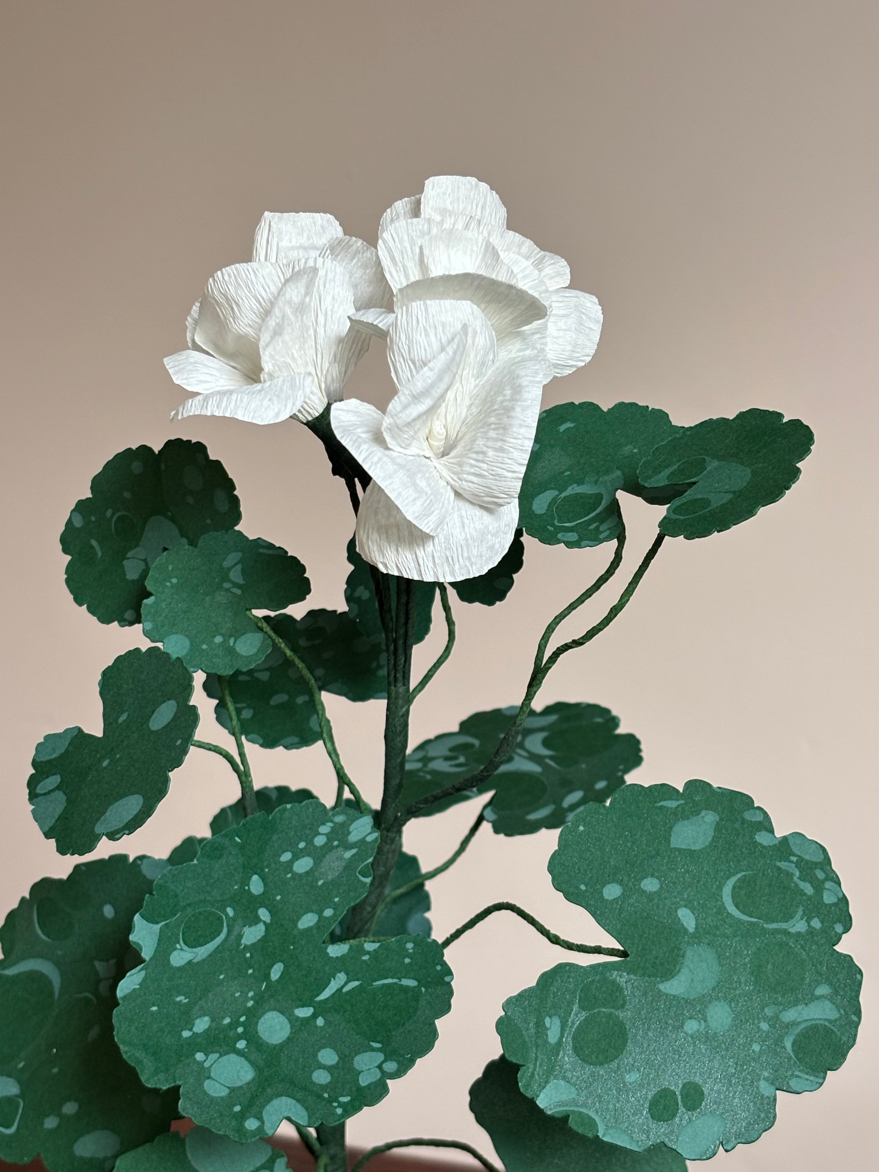 Paper Geranium