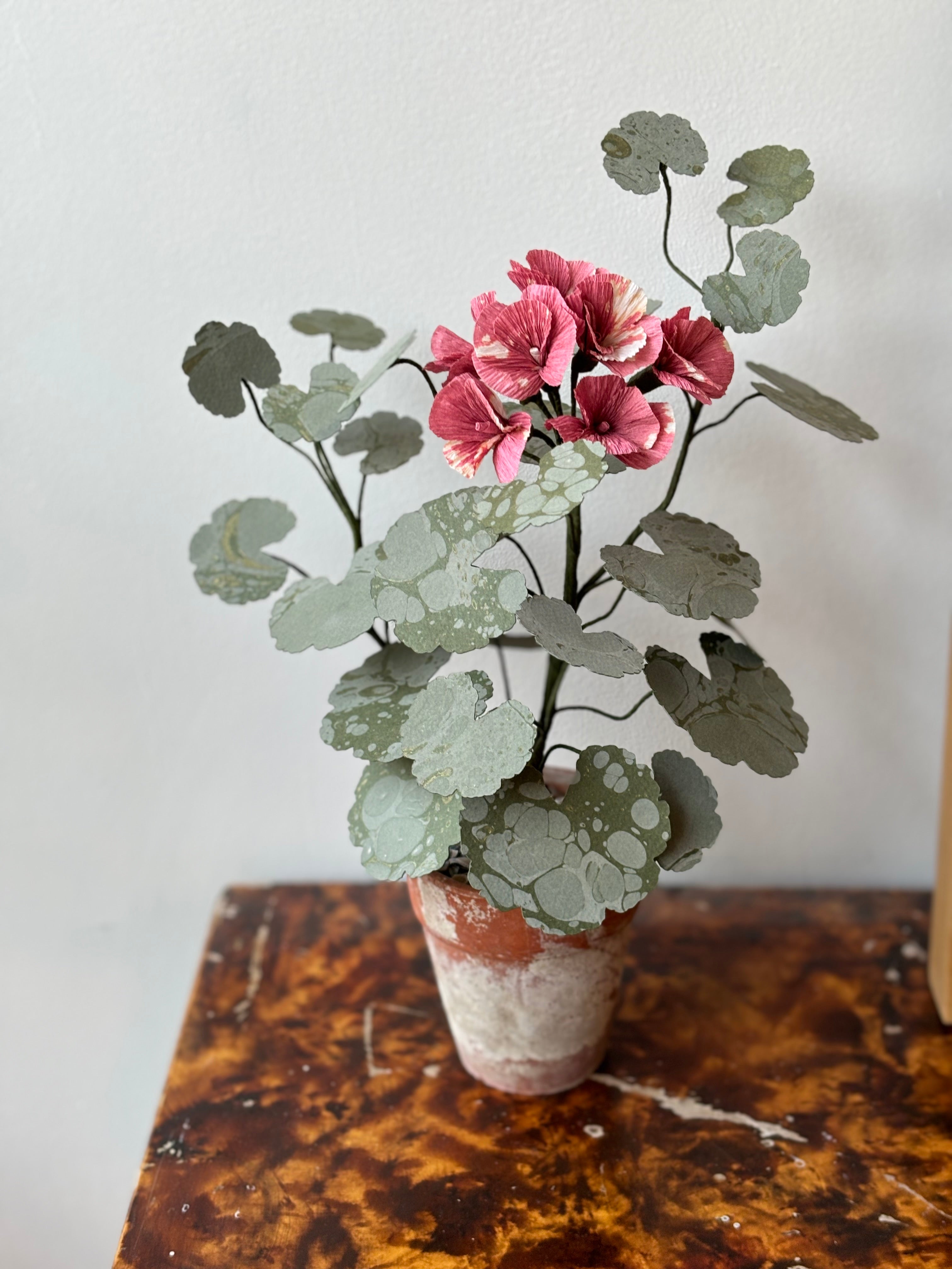 Paper Geranium