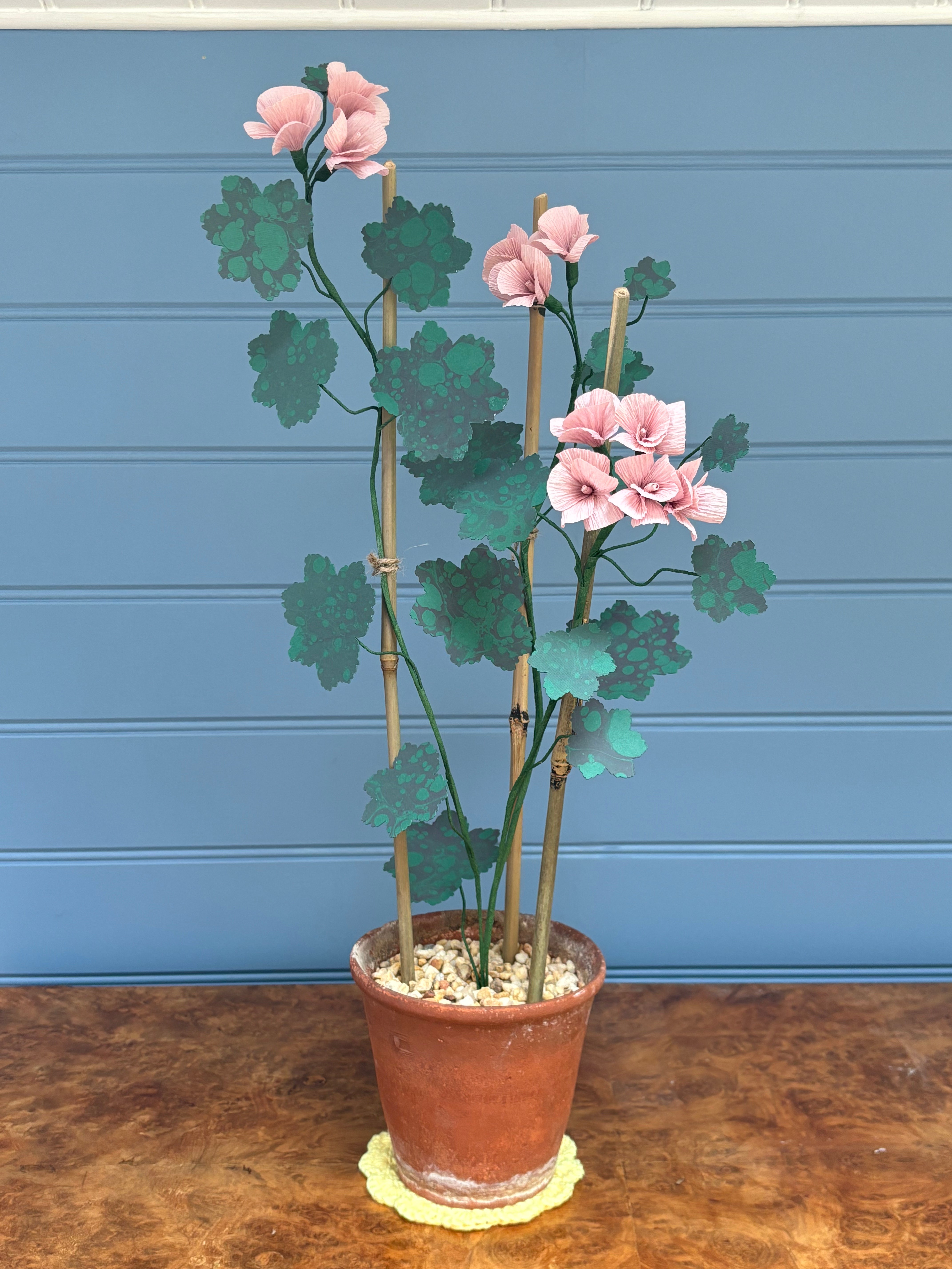 Geranium