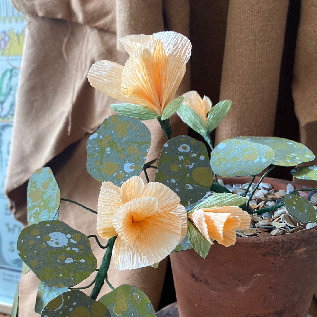 Paper Nasturtium