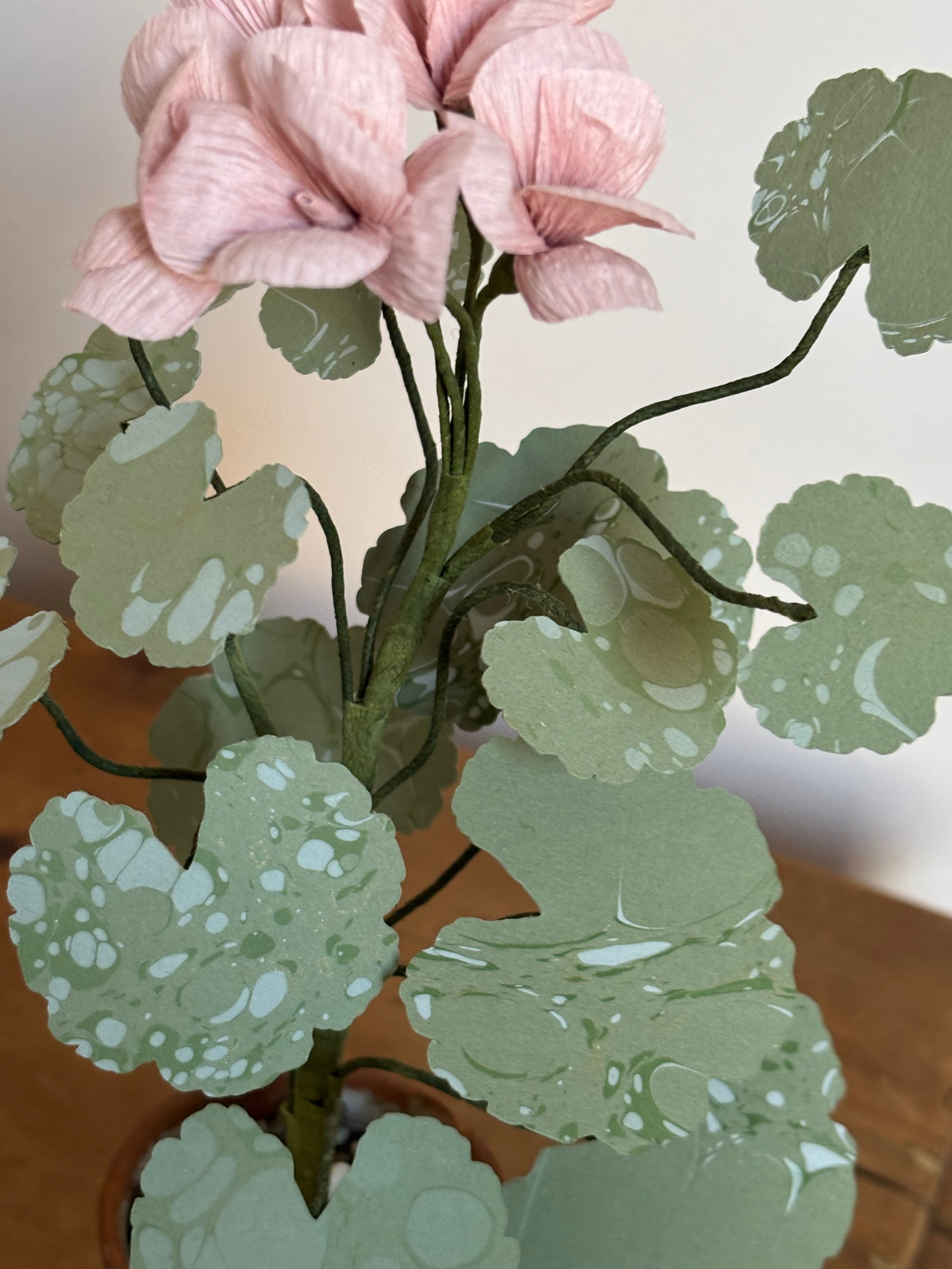 Paper Geranium