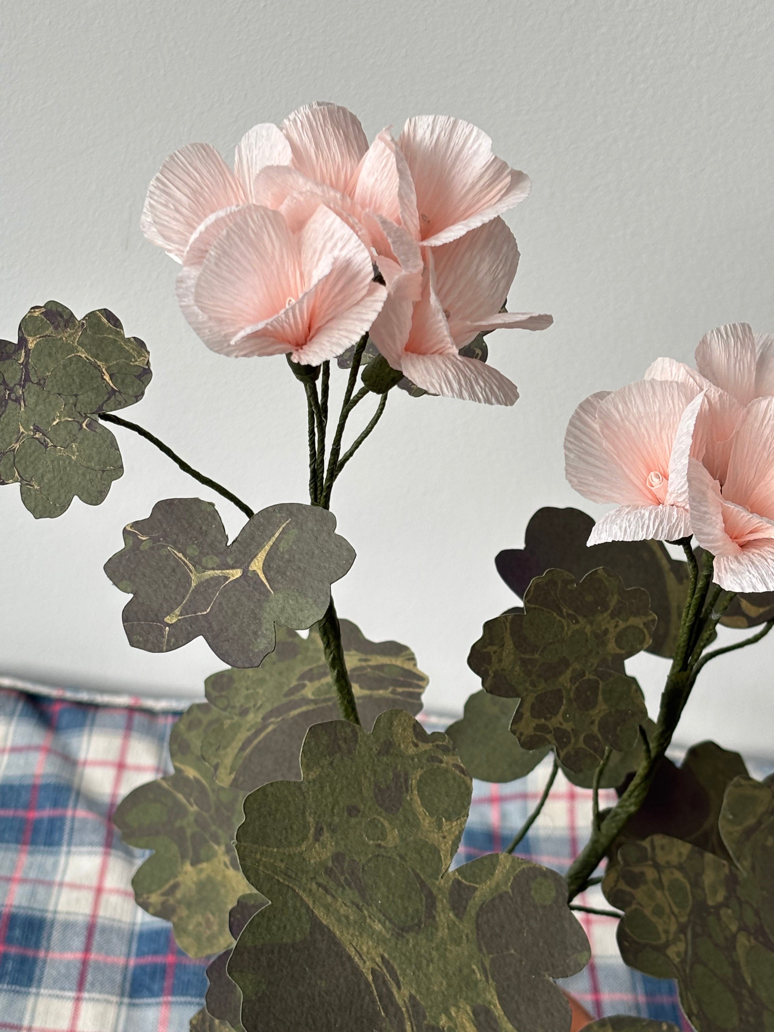 Paper Geranium