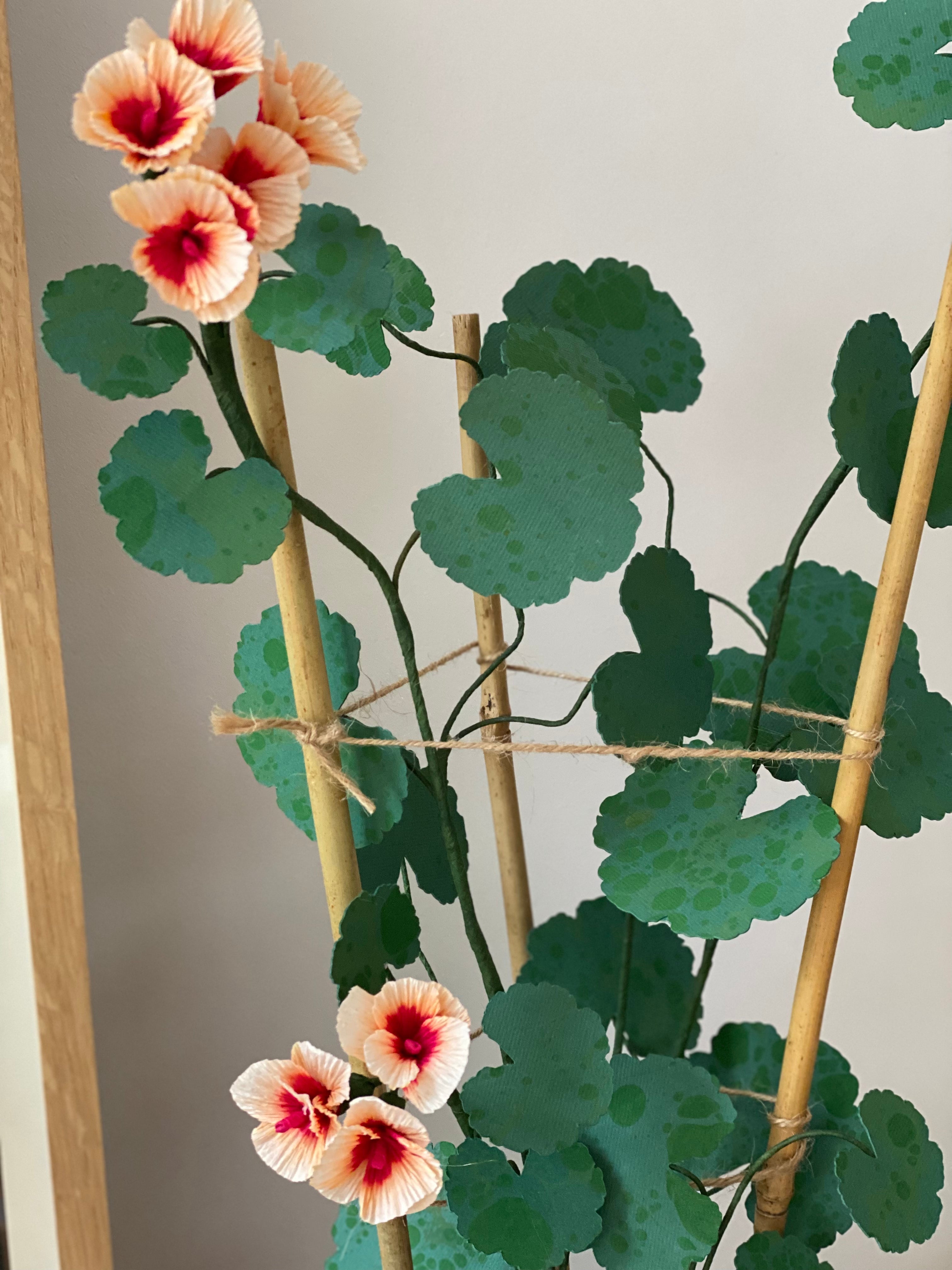 Paper Geranium