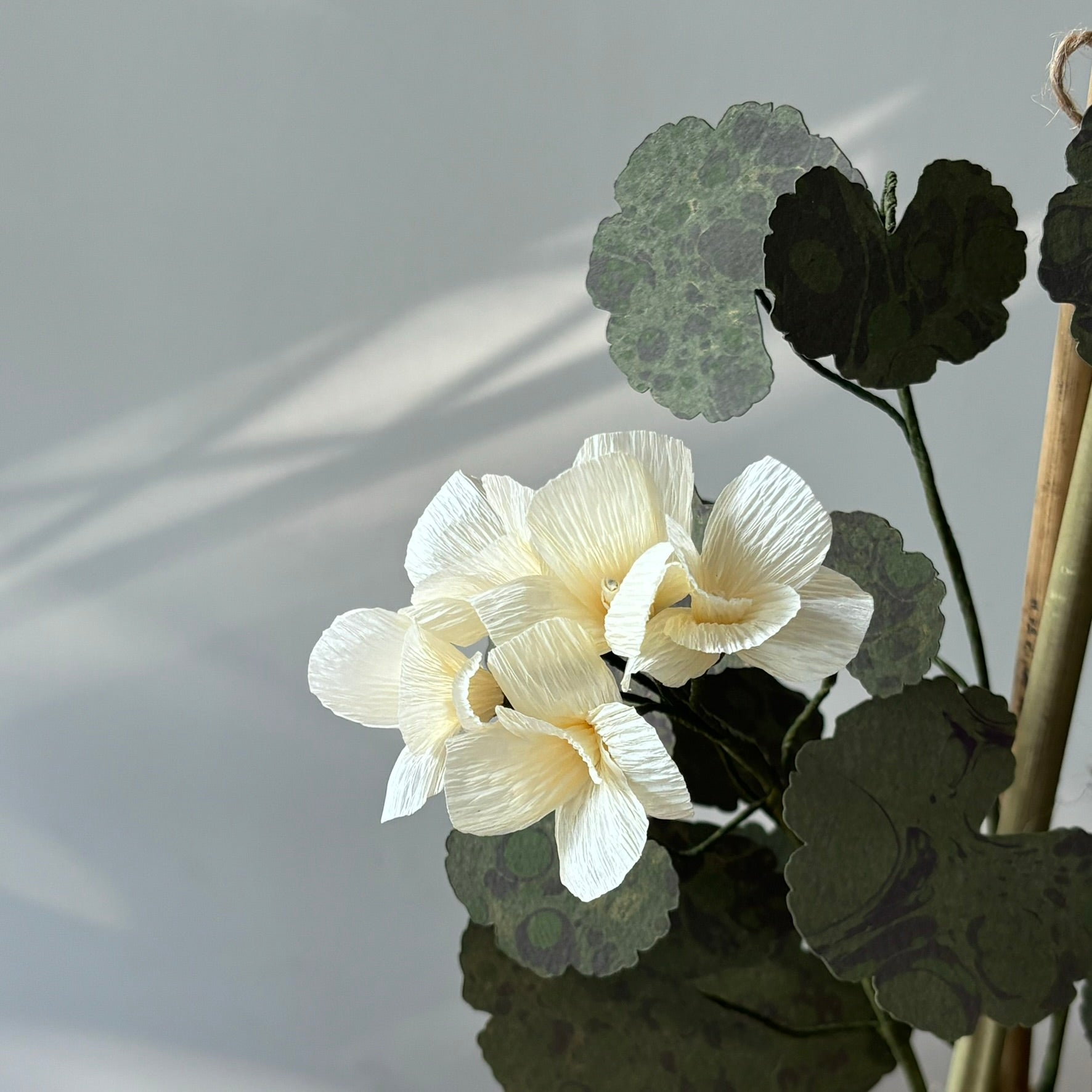 Paper Geranium
