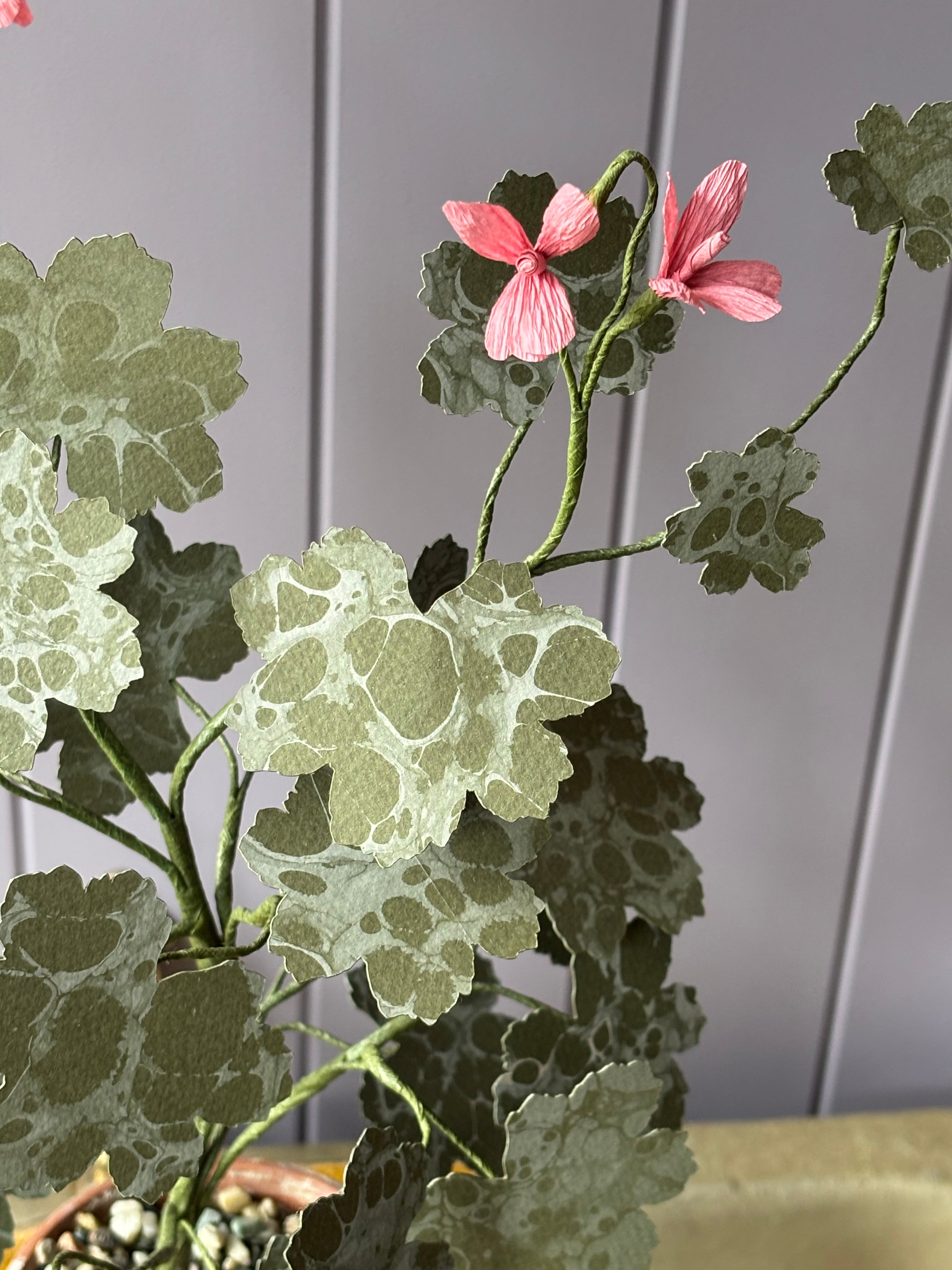 Paper Geranium