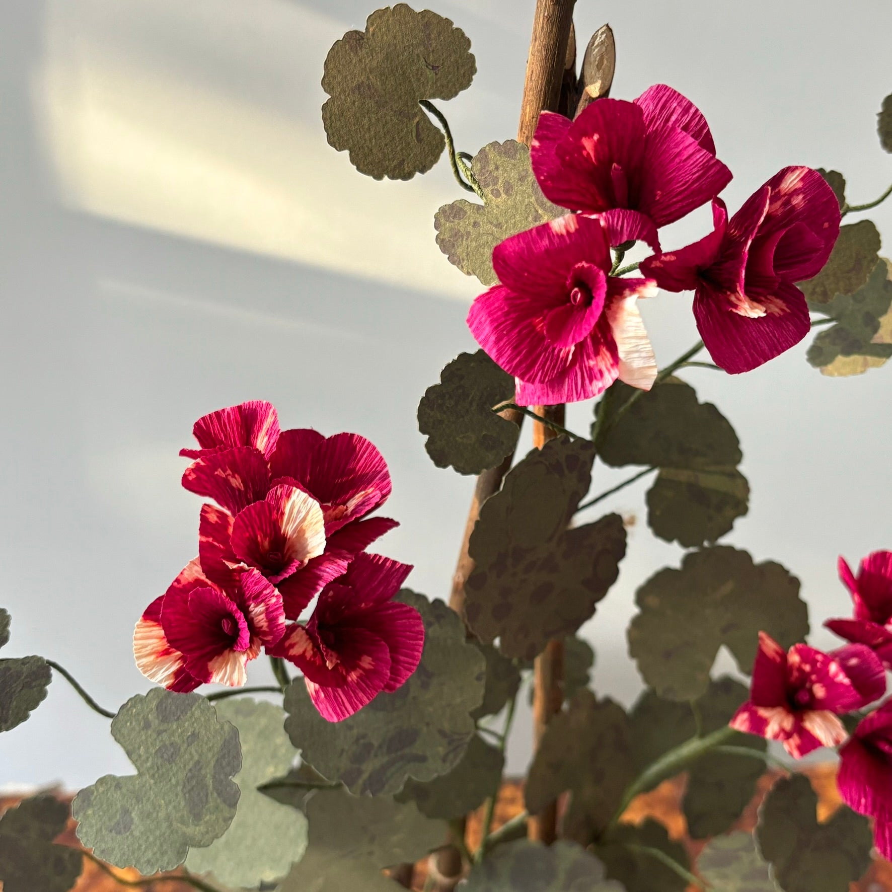Paper Geranium