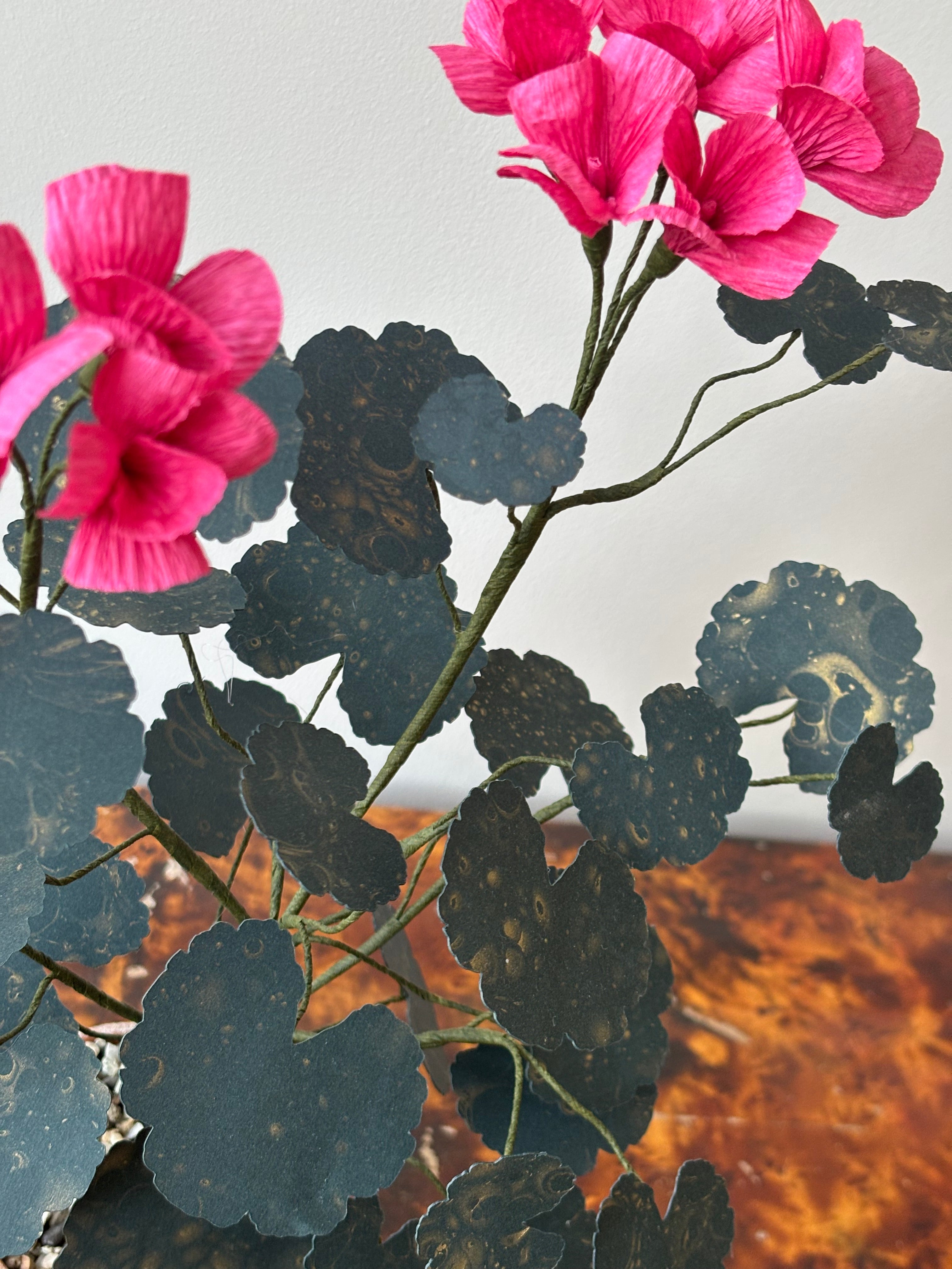 Paper Geranium