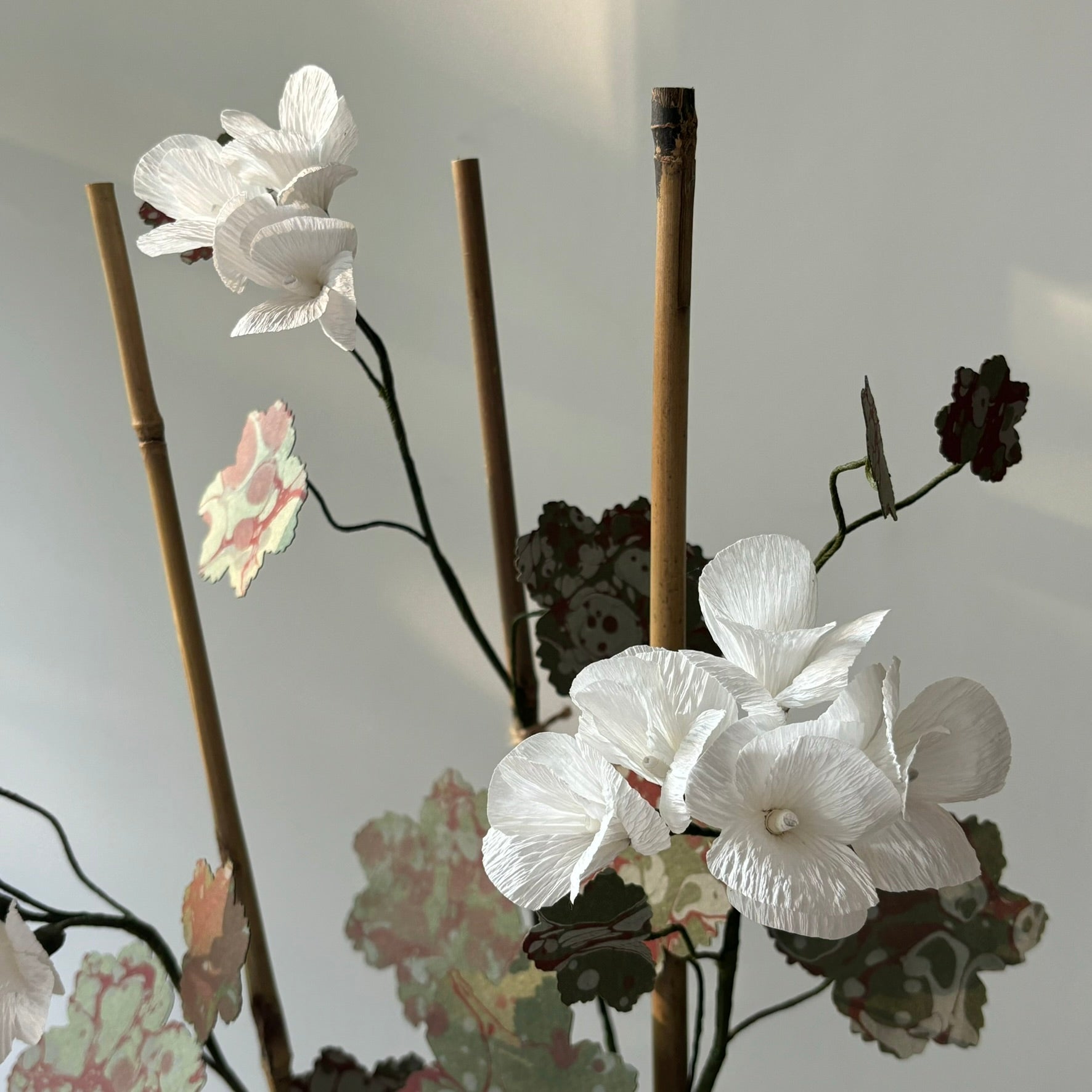 Paper Geranium