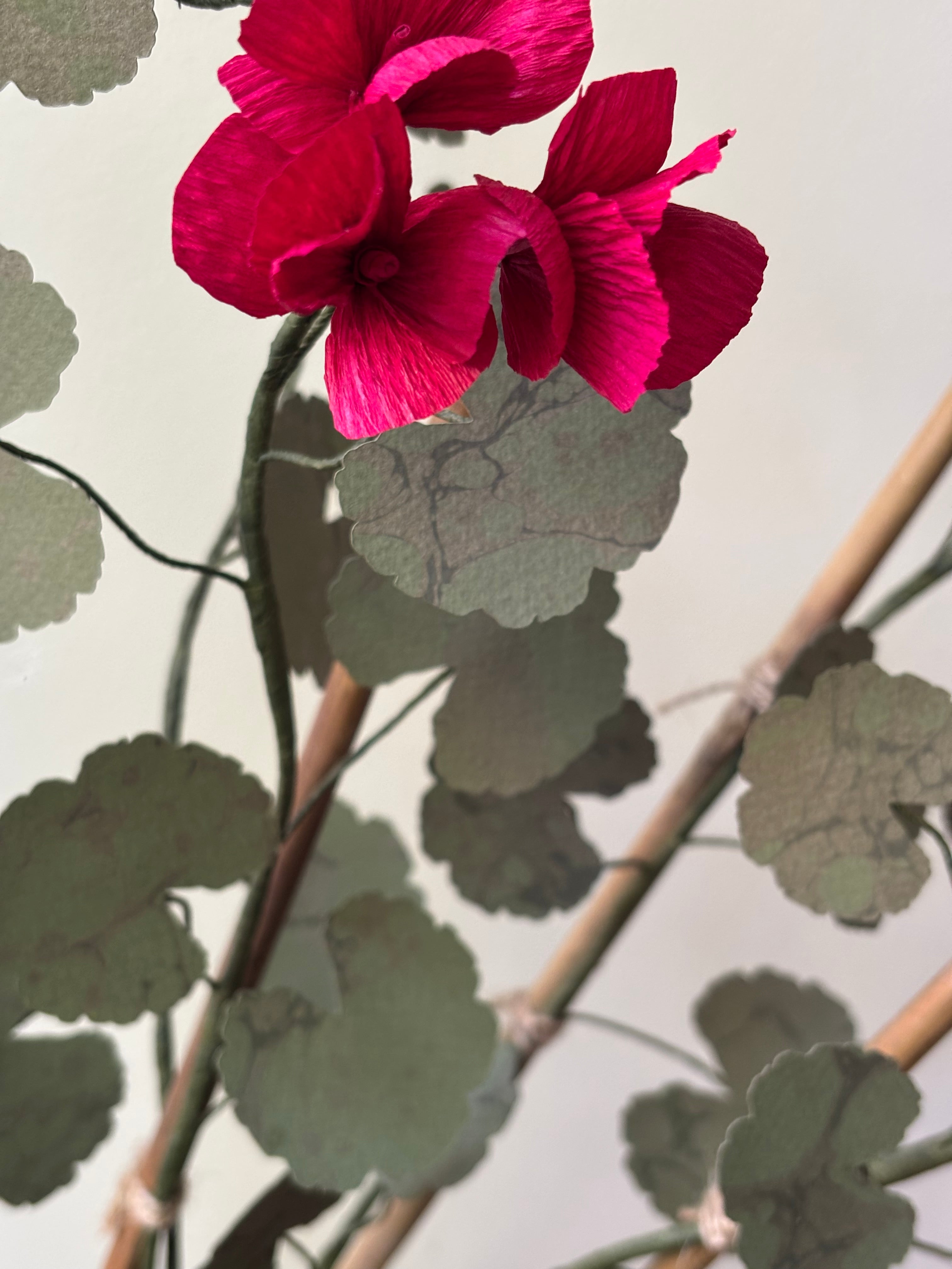 Paper Geranium
