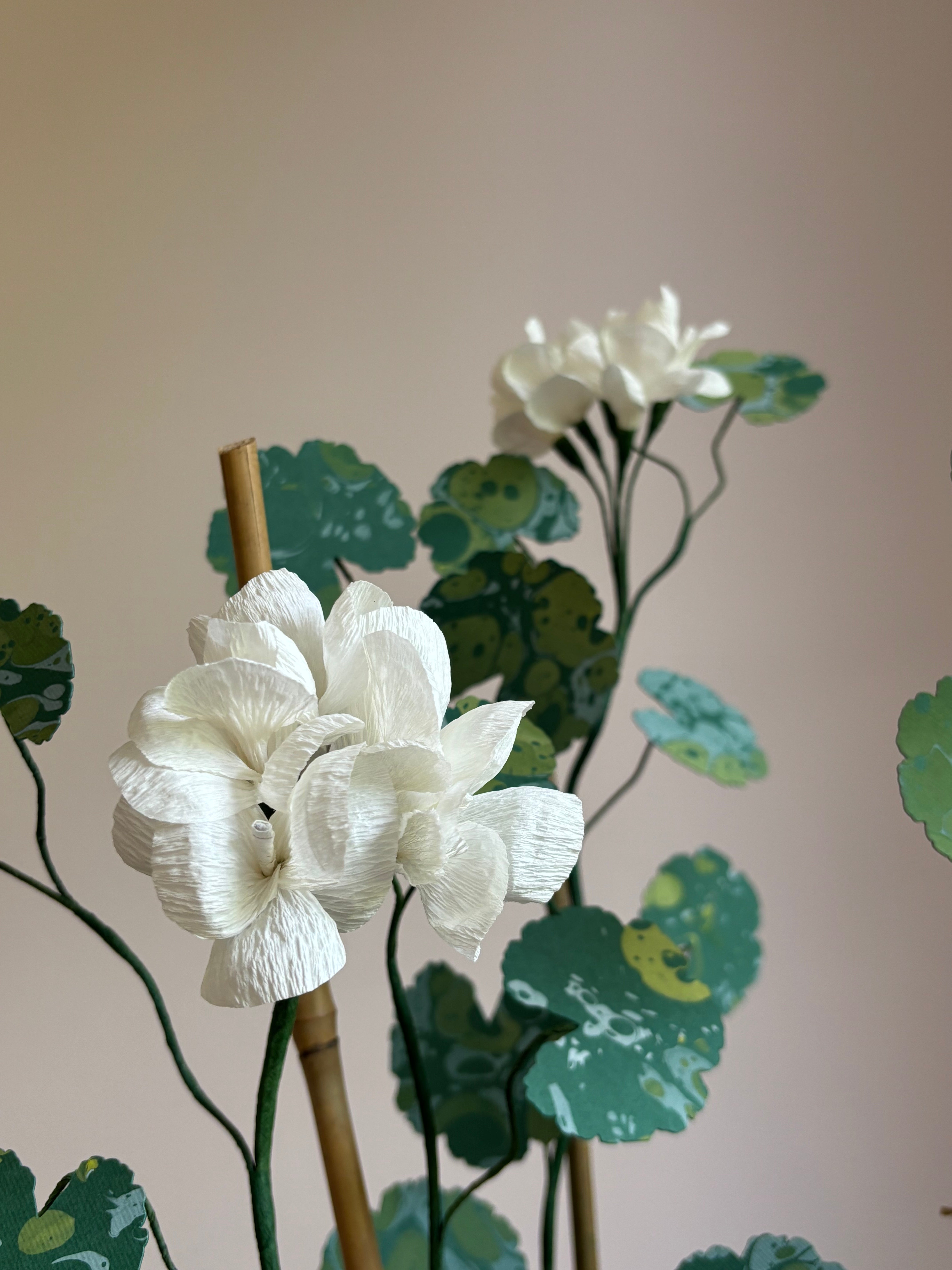 Paper Geranium