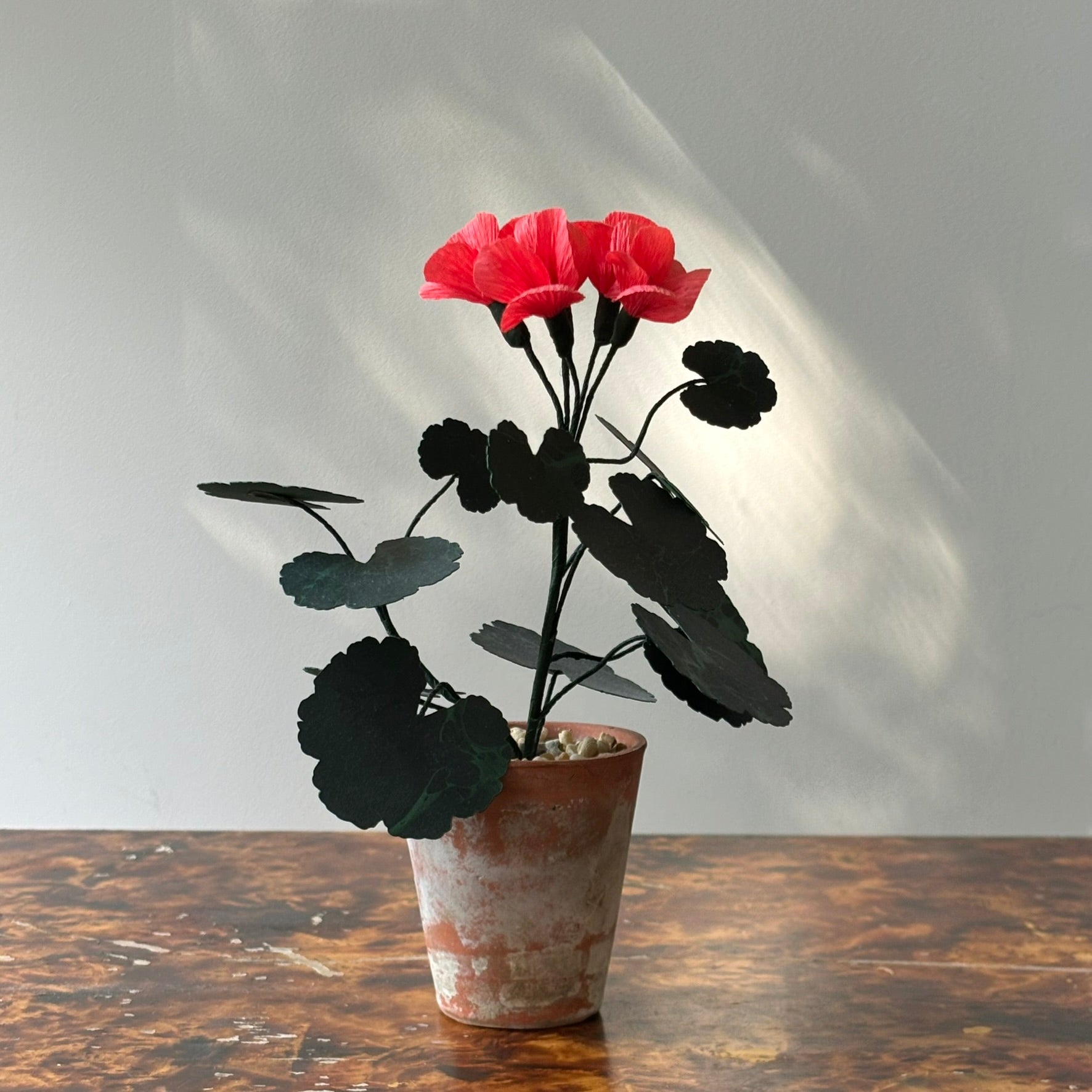 Paper Geranium