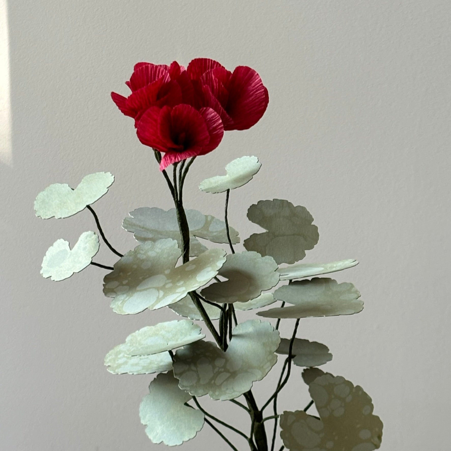 Paper Geranium