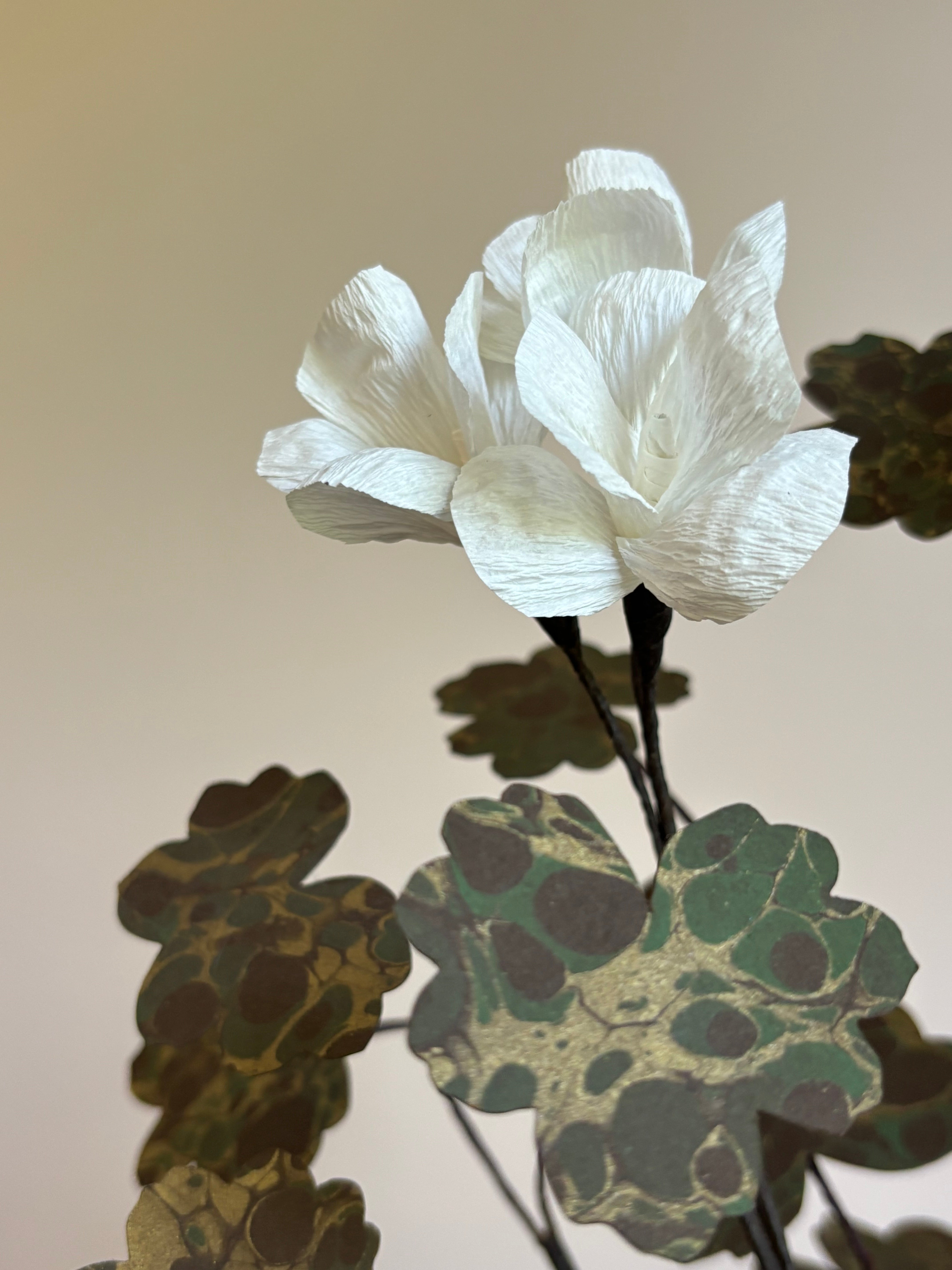 Paper Geranium