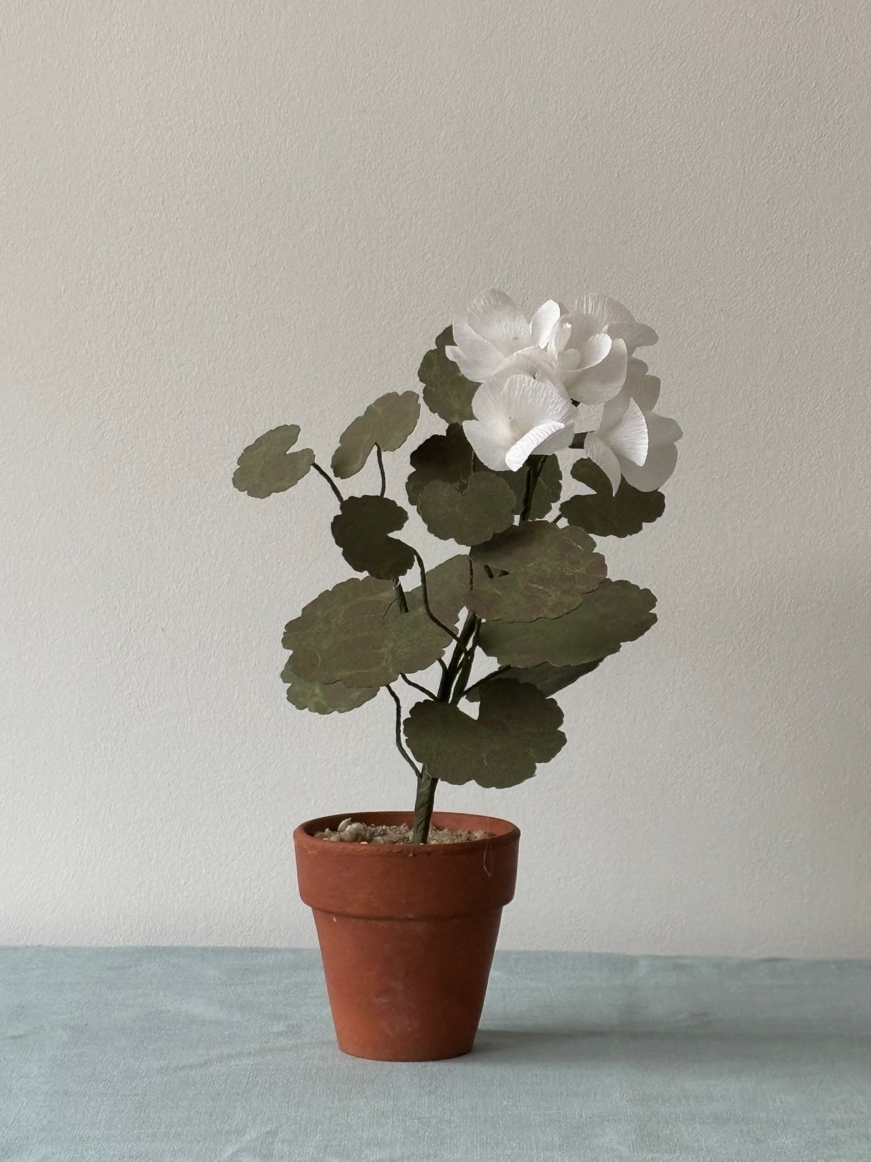 Paper Geranium