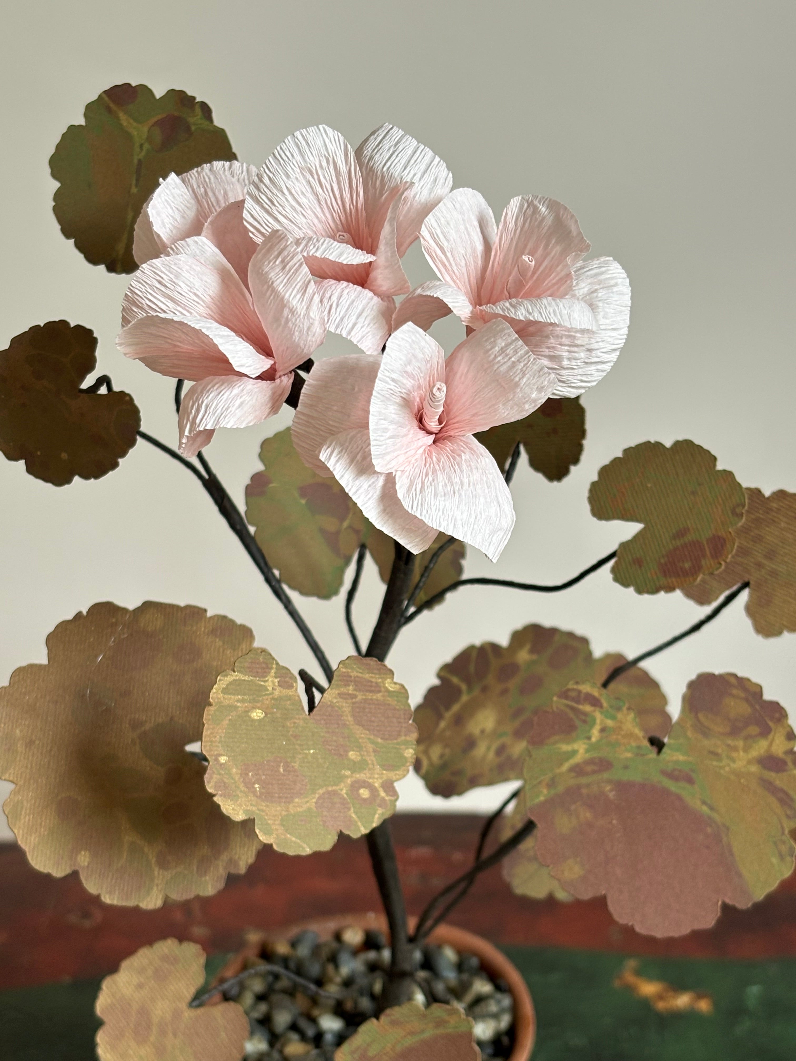 Paper Geranium