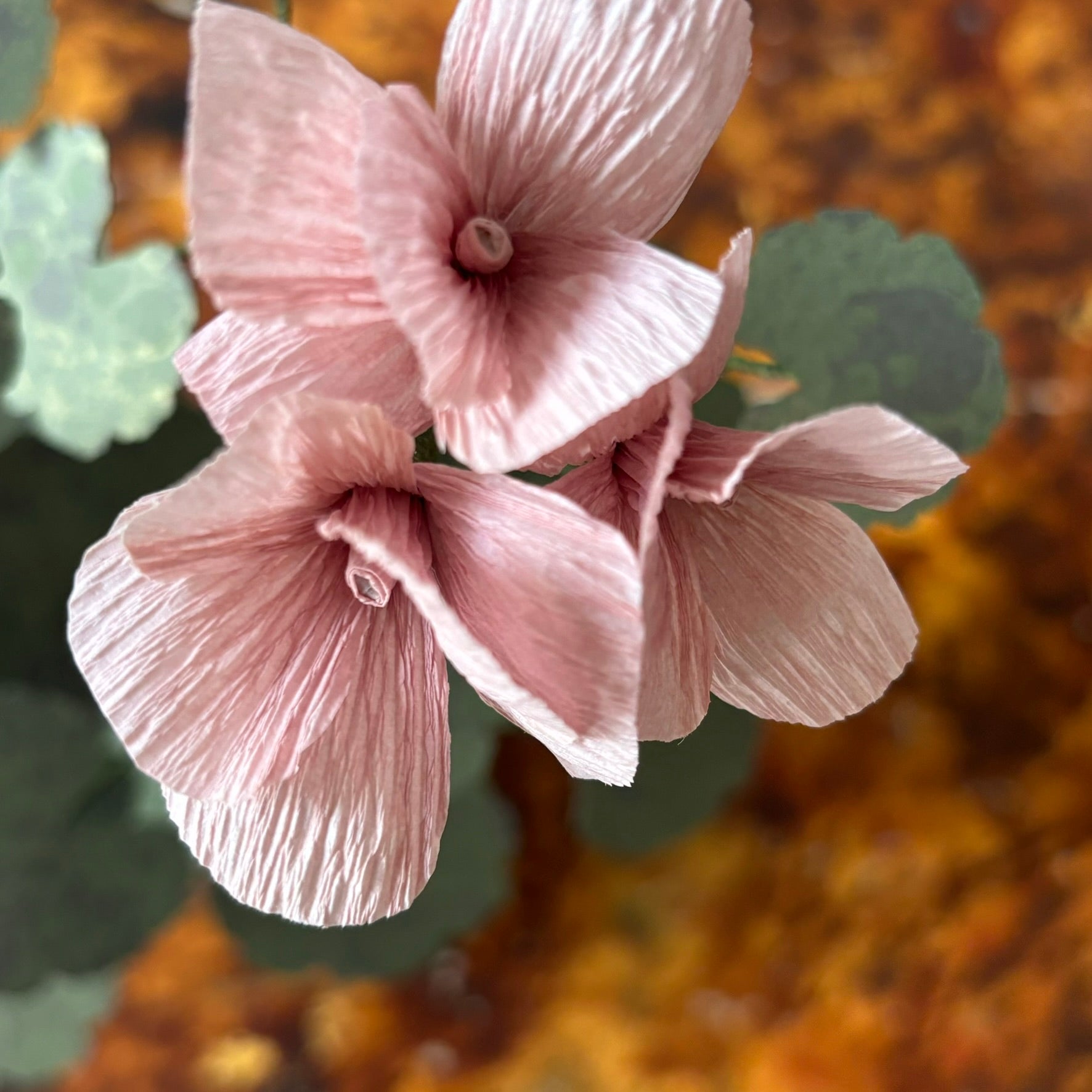 Paper Geranium