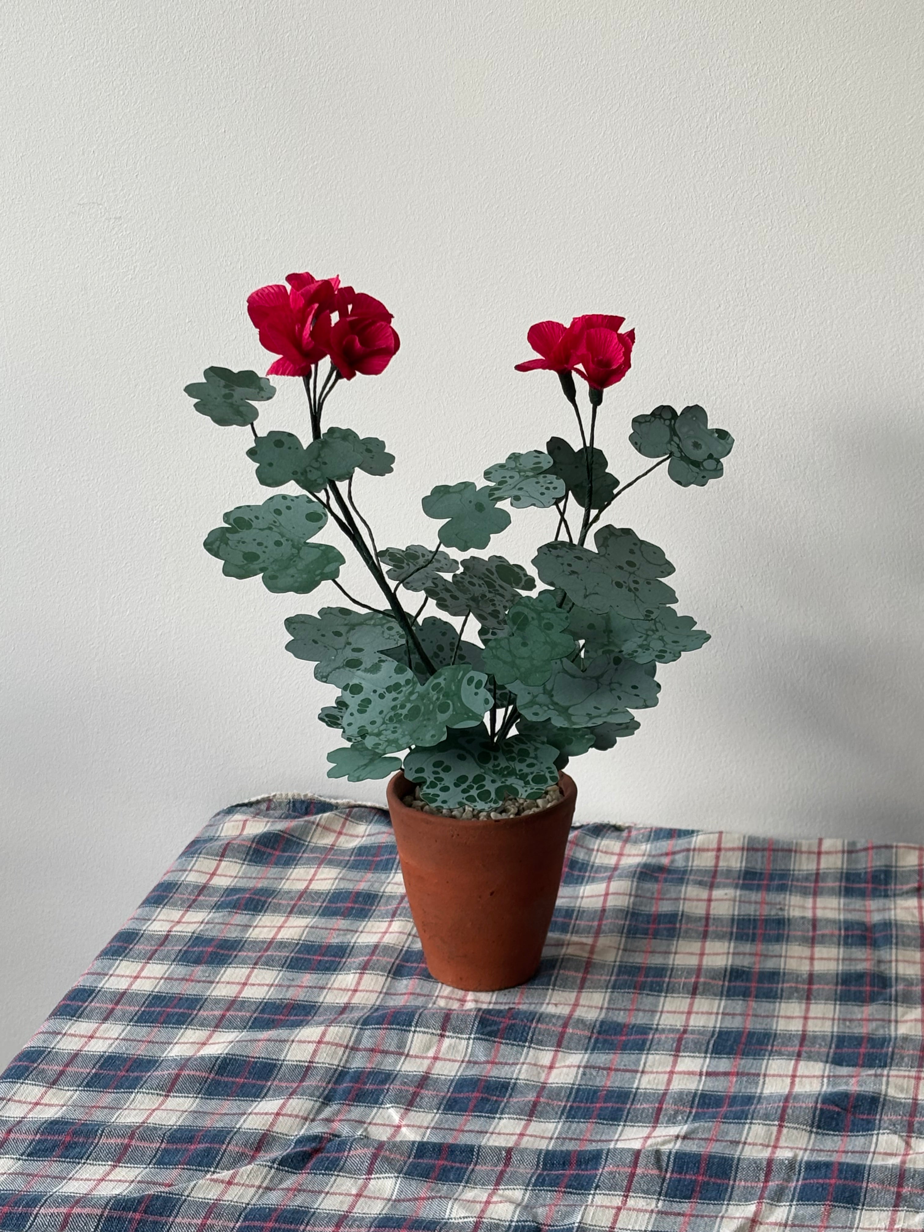 Paper Geranium