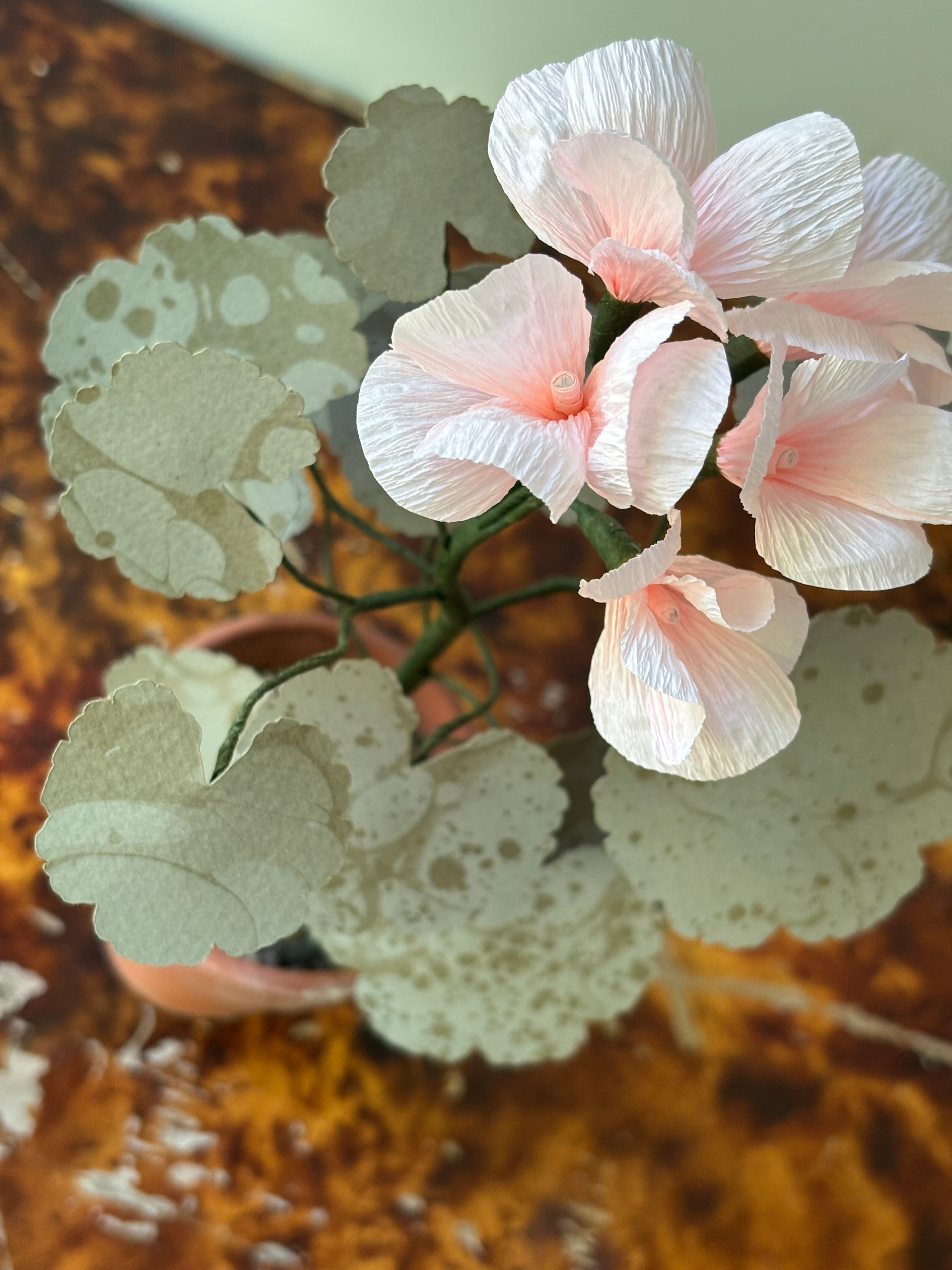 Paper Geranium