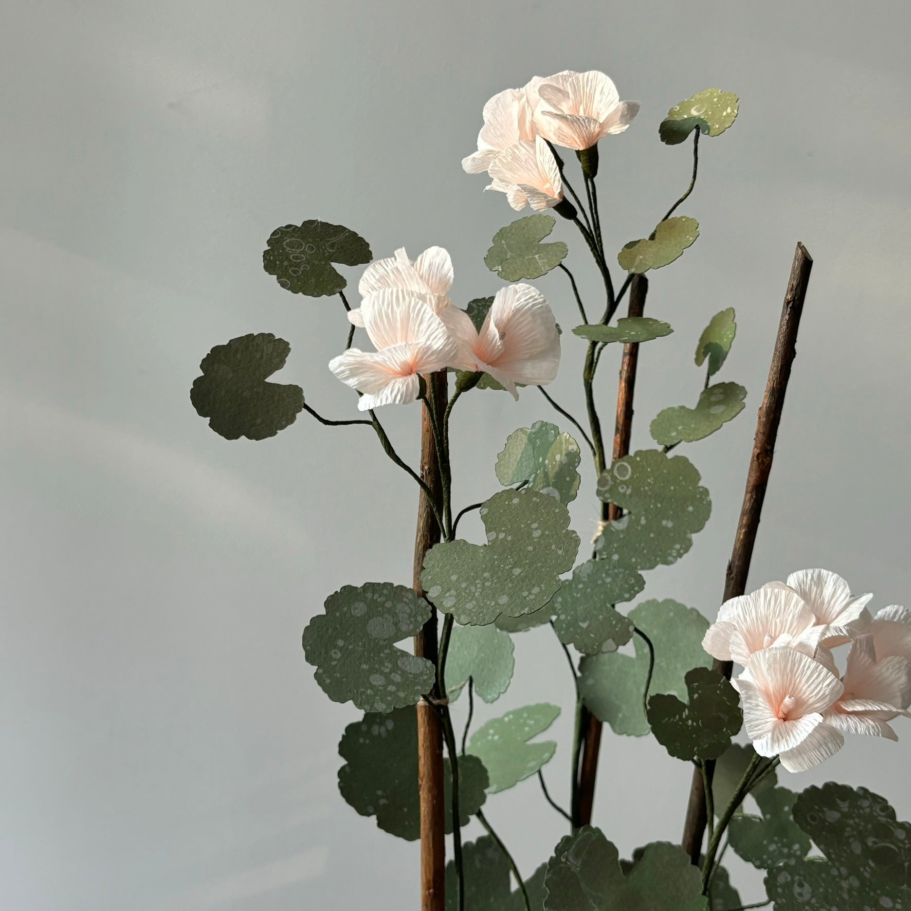 Paper Geranium