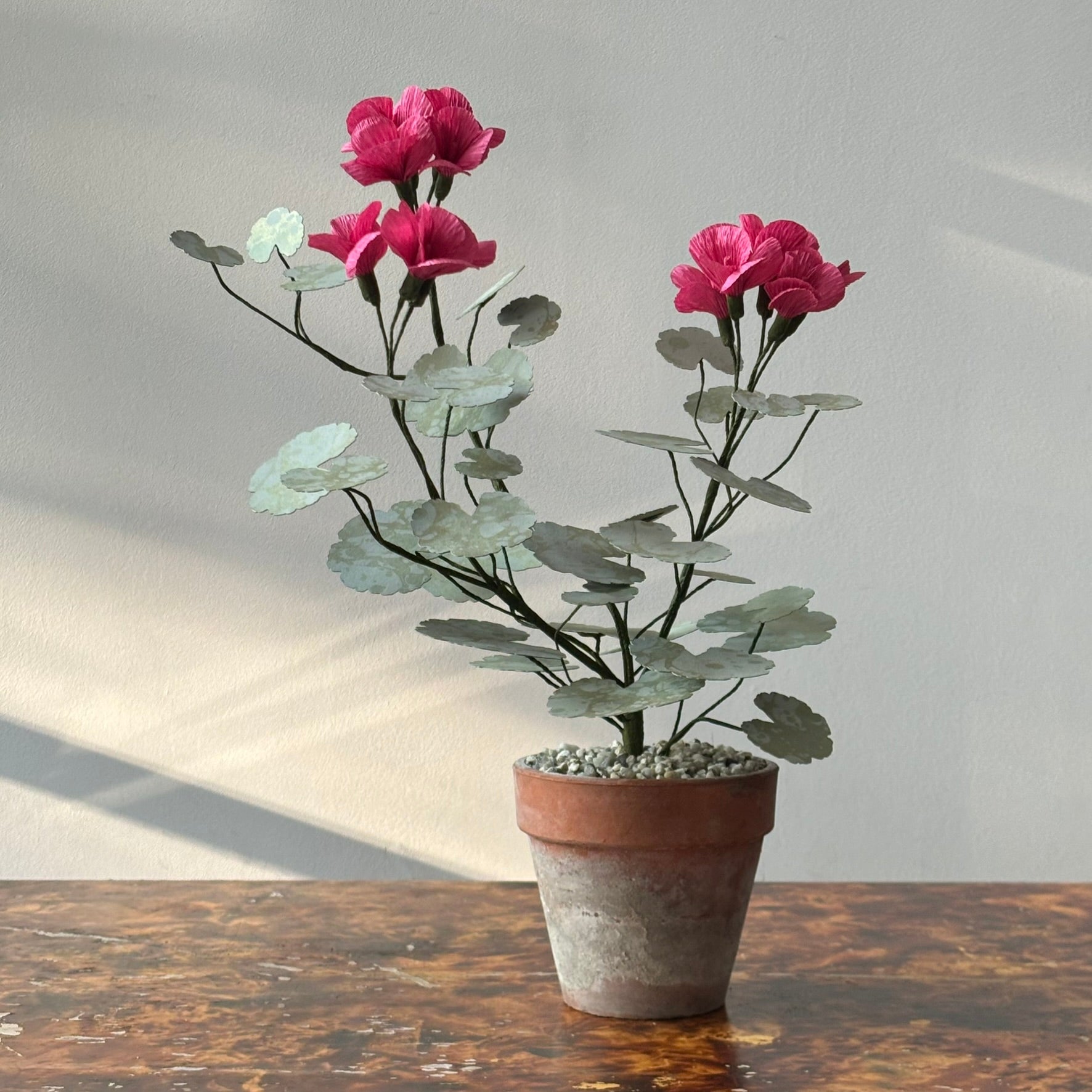 Paper Geranium