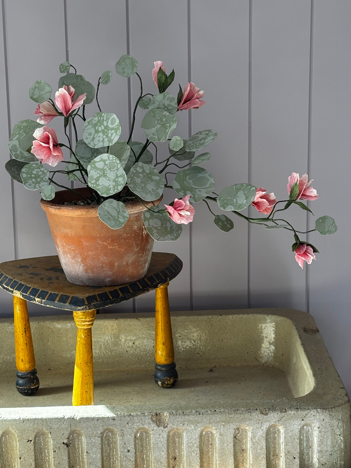 Paper nasturtium
