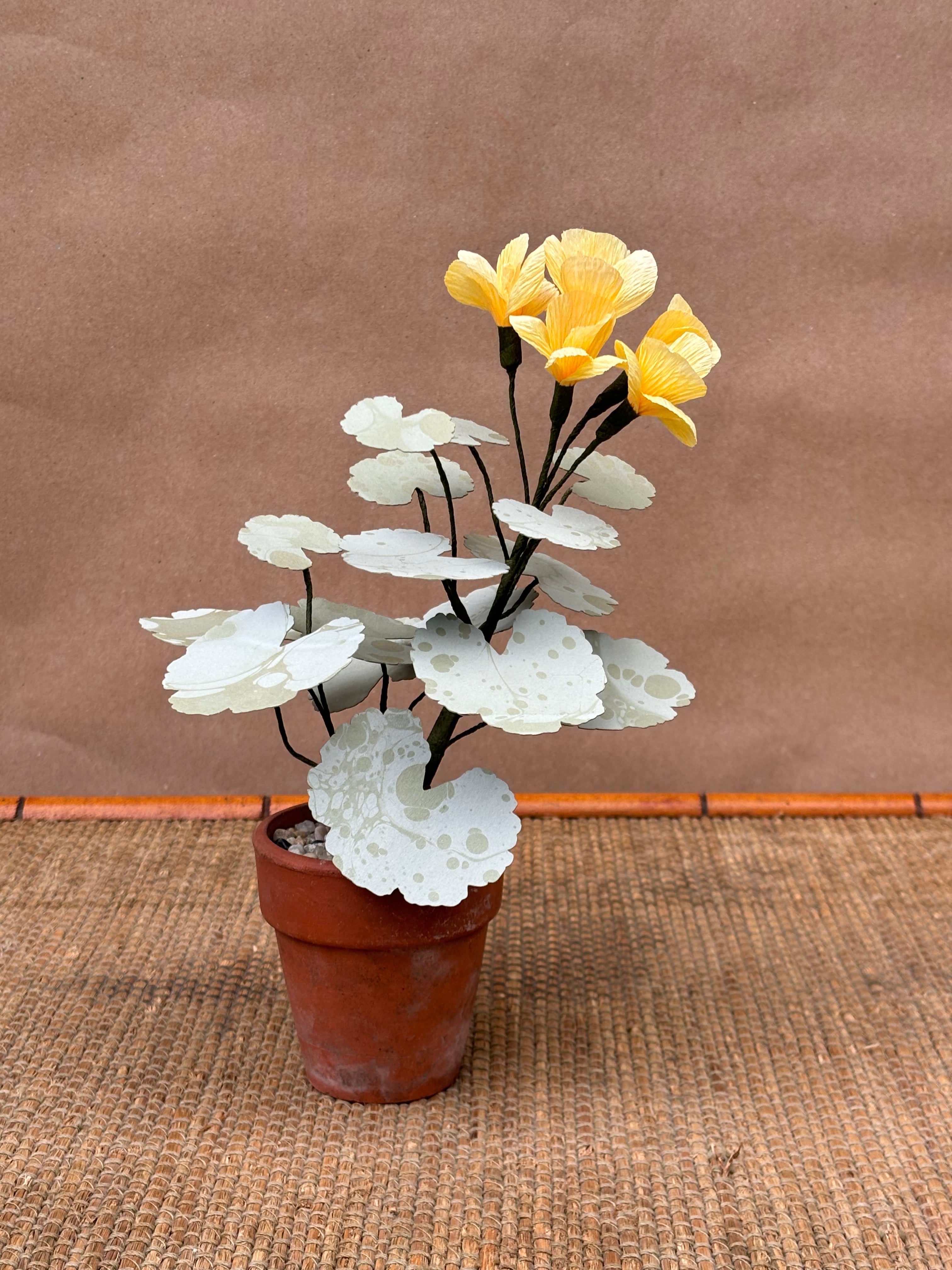 Paper Geranium