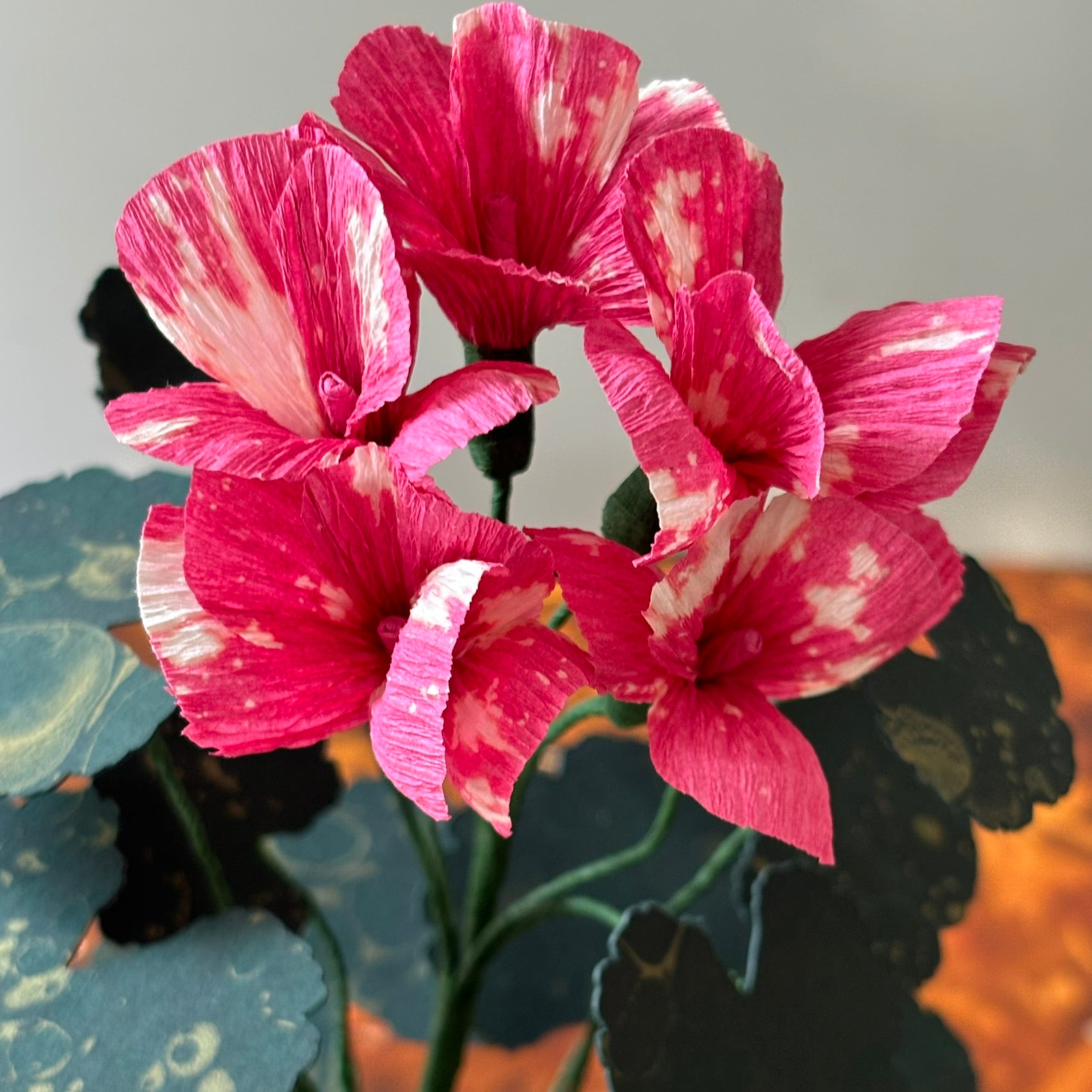 Paper Geranium