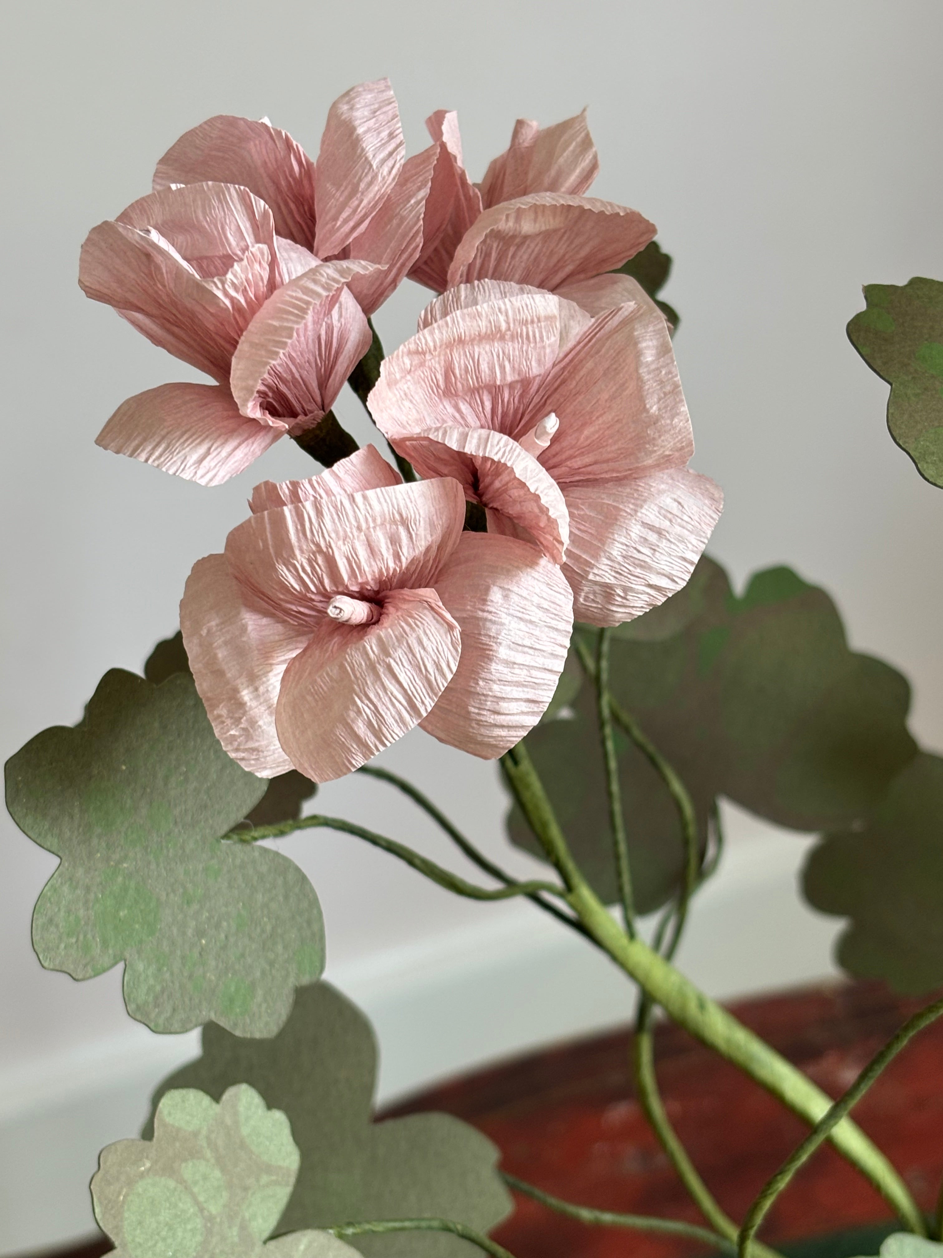 Paper Geranium