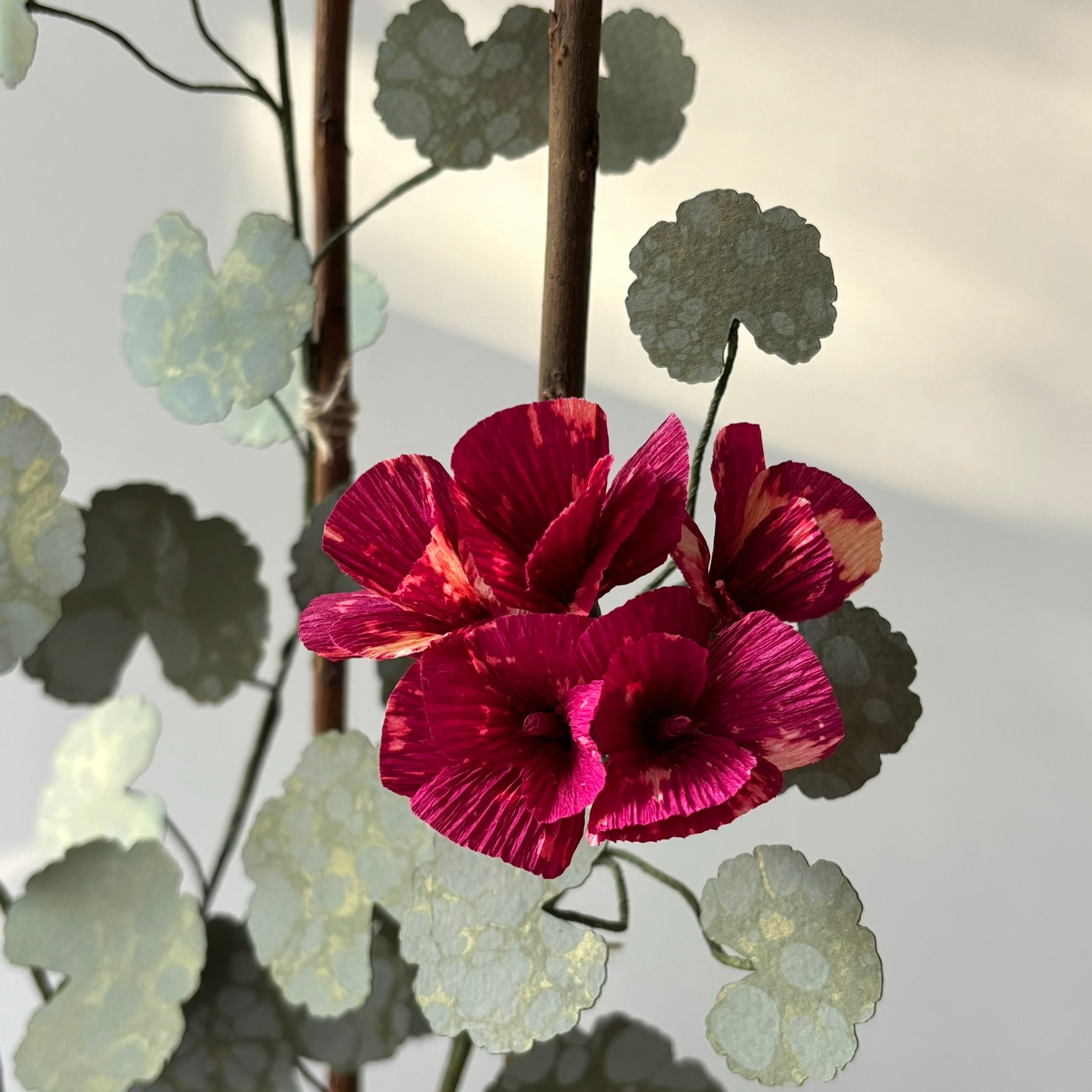 Paper Geranium