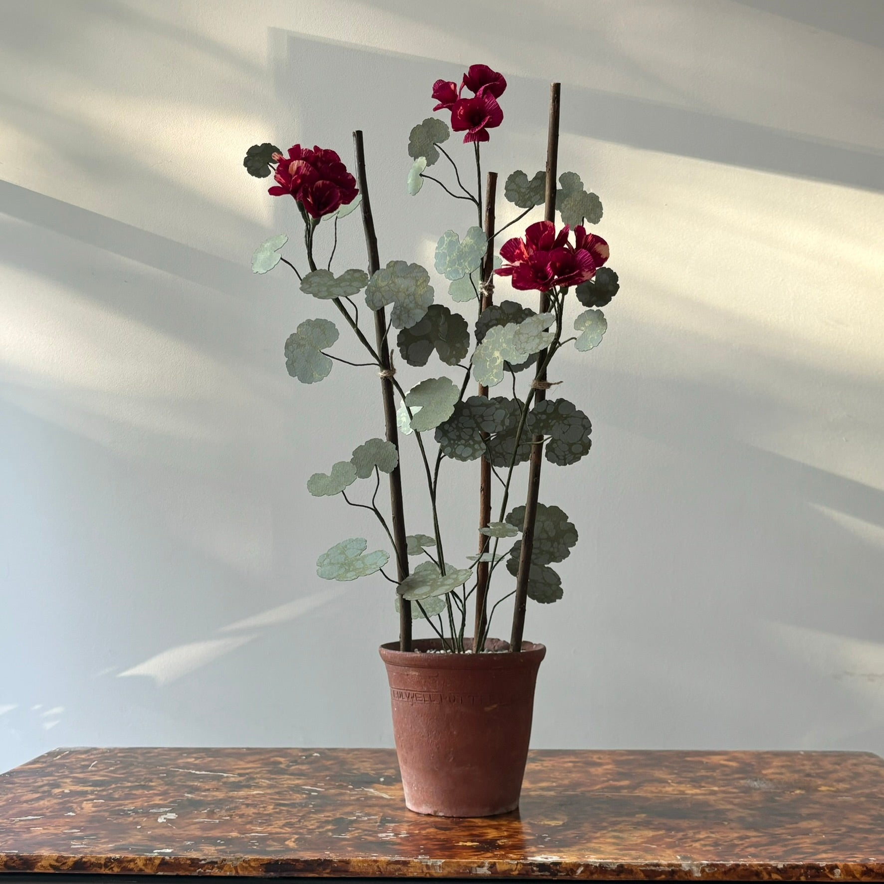 Paper Geranium