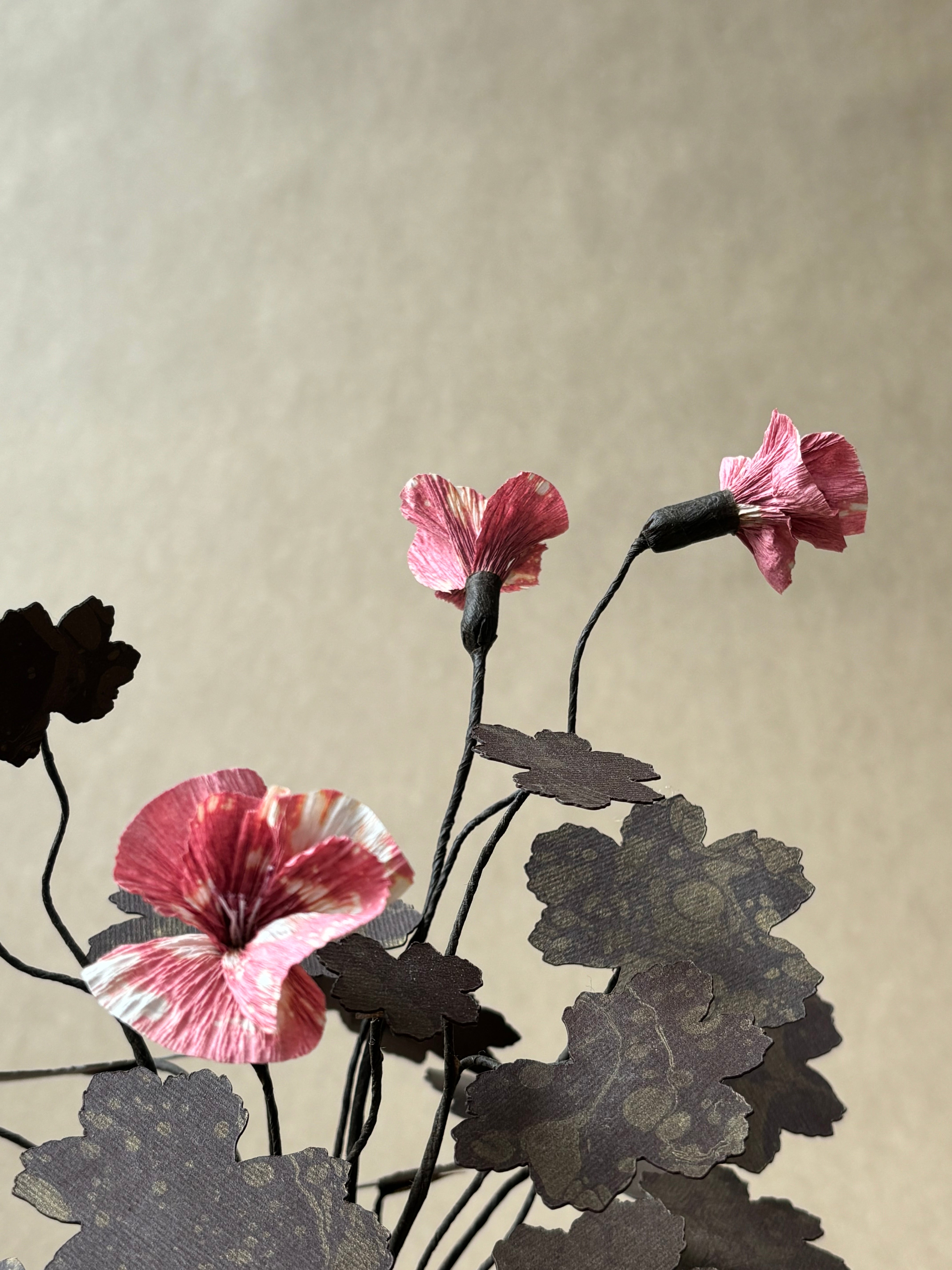 Geranium, Hardy small