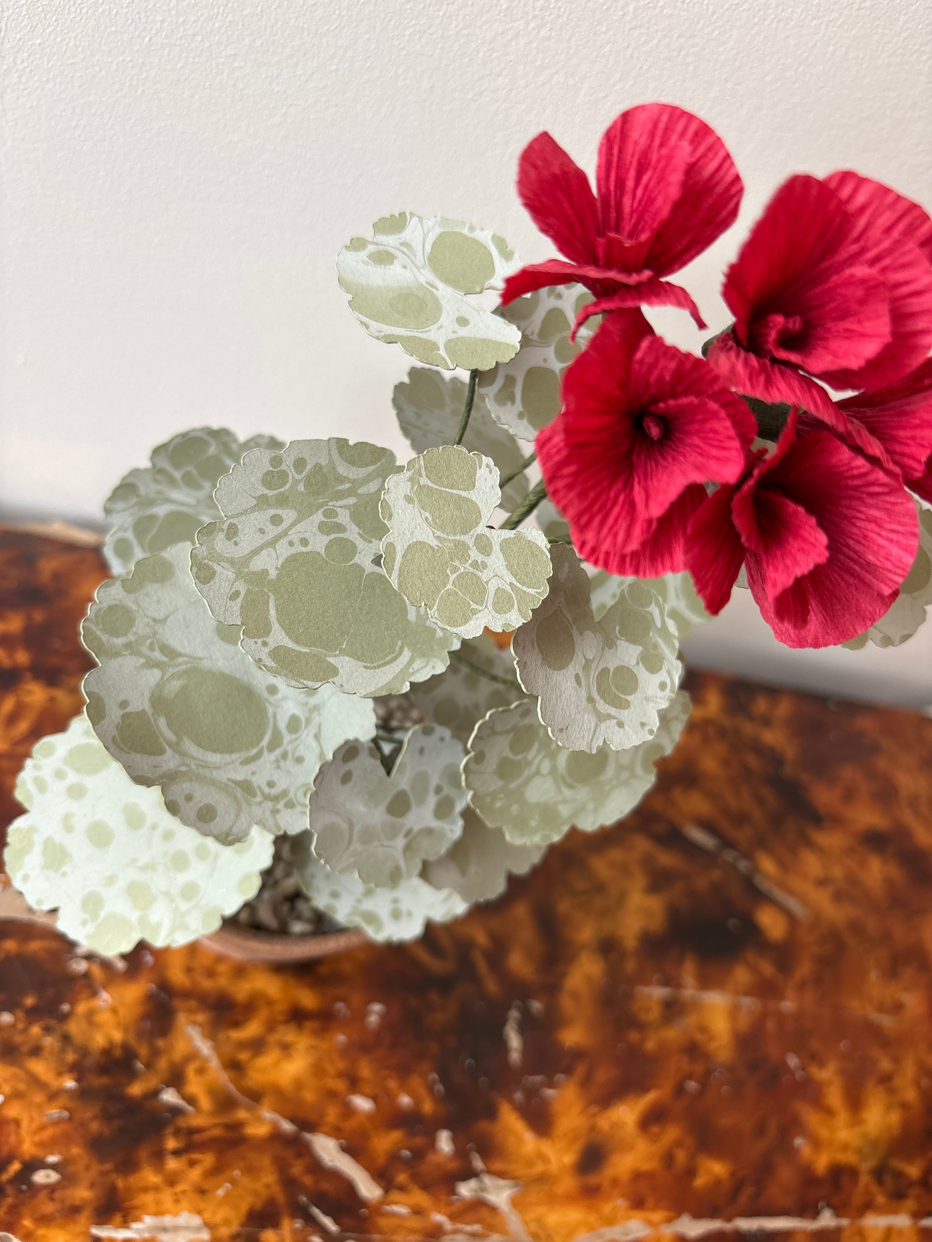 Paper Geranium