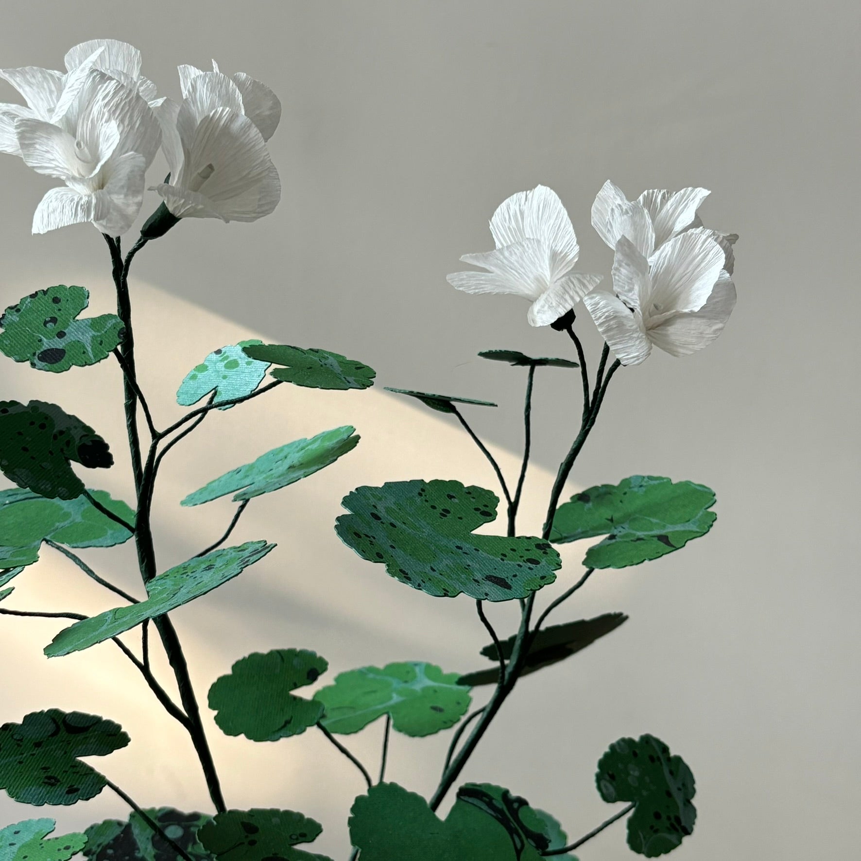 Paper Geranium