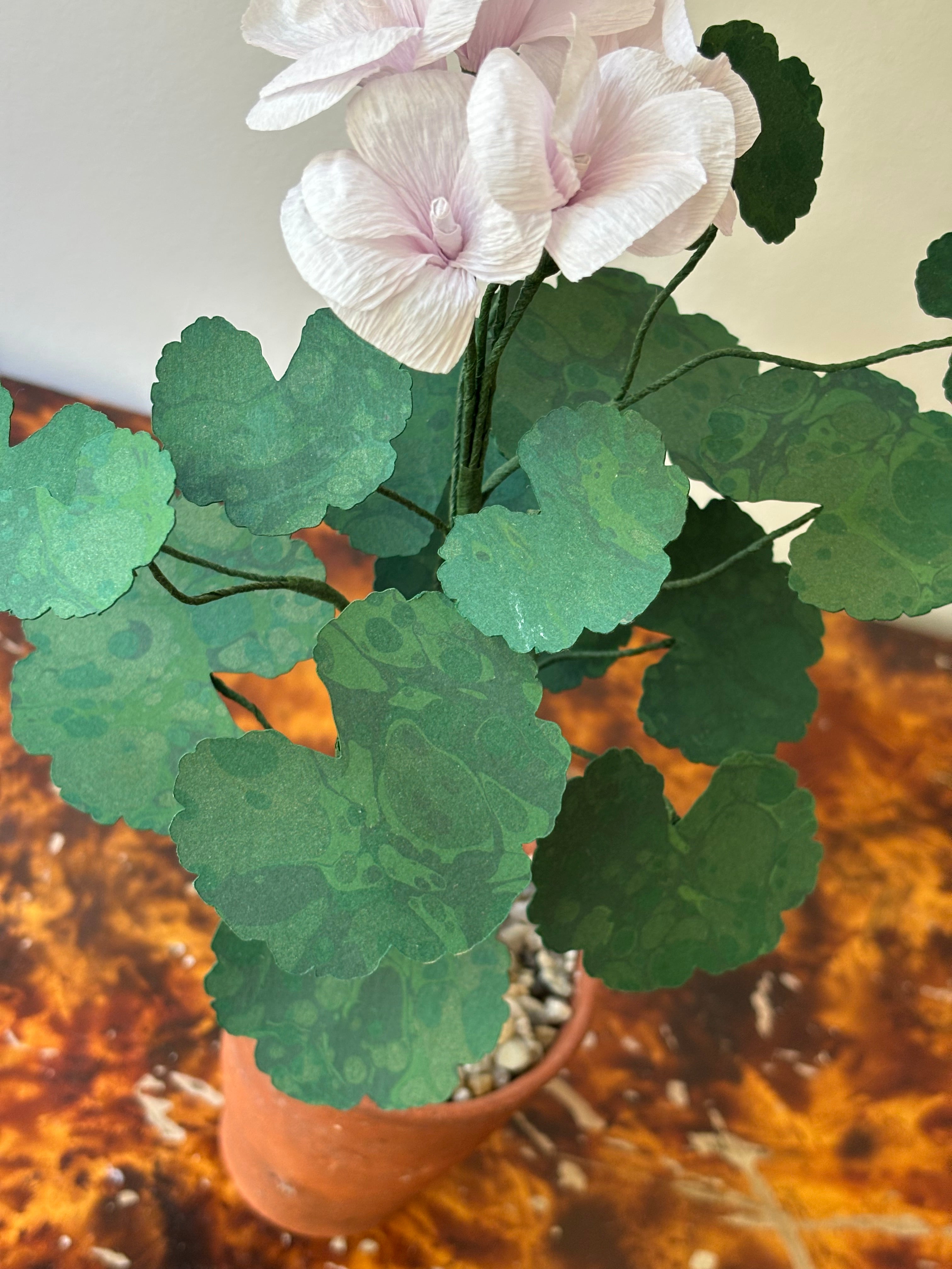 Paper Geranium