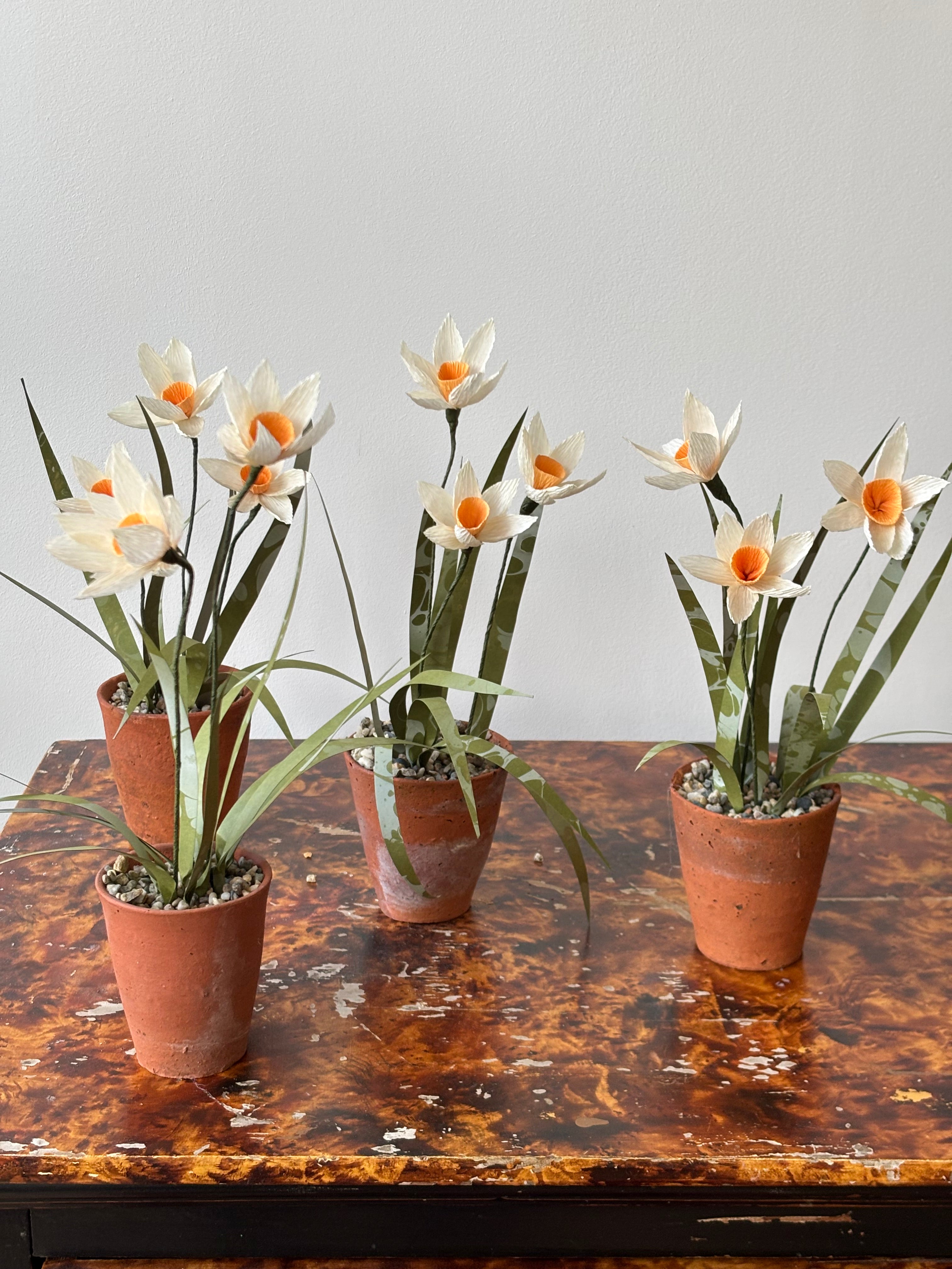 Paper Narcissus
