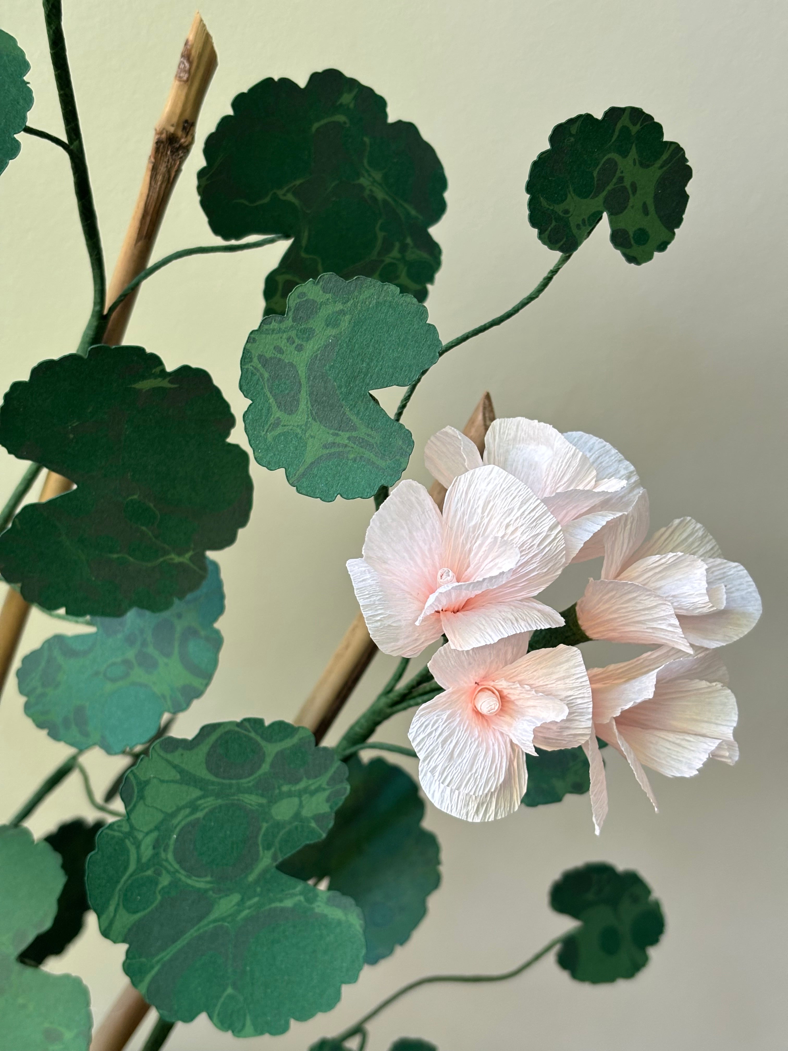 Paper Geranium