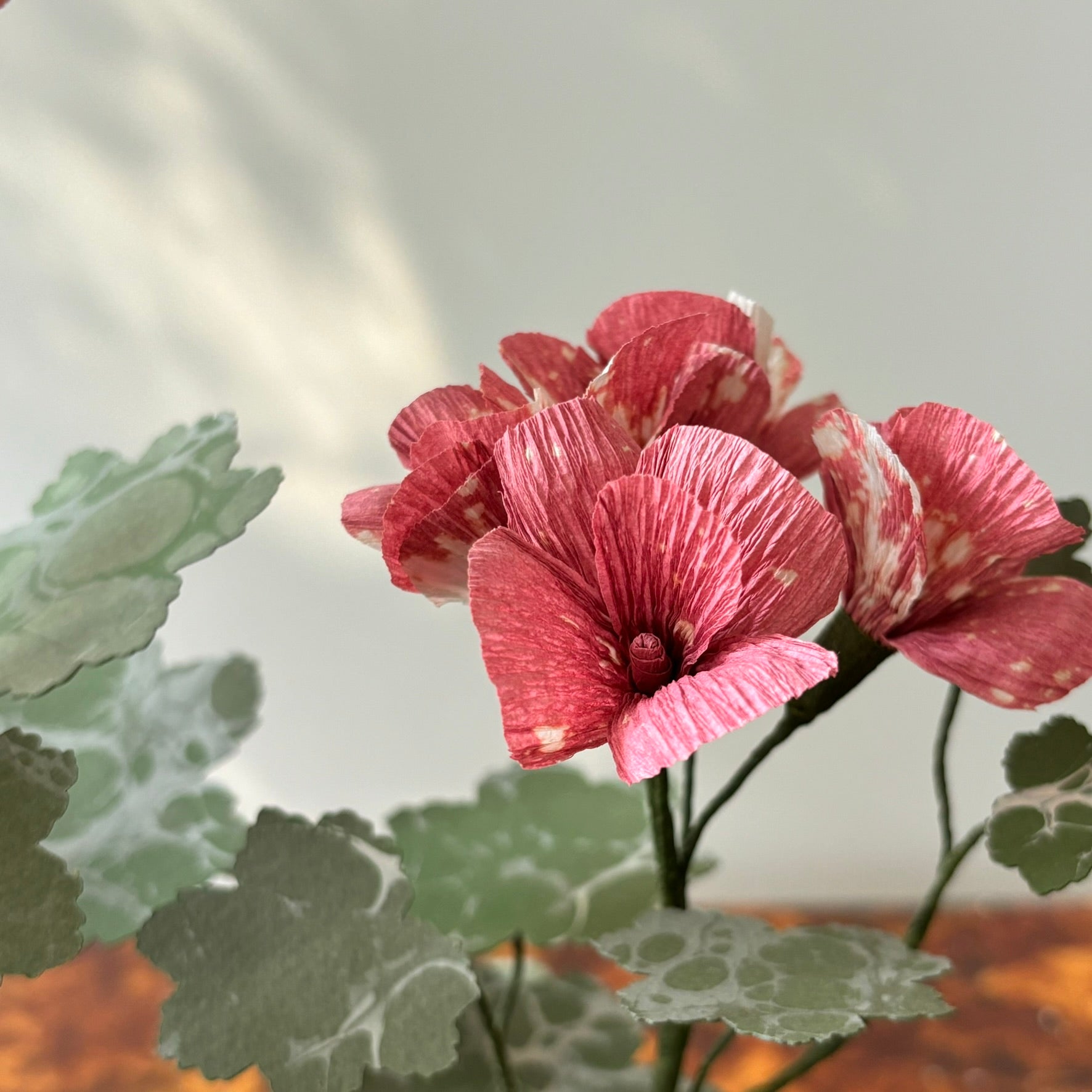 Paper Geranium