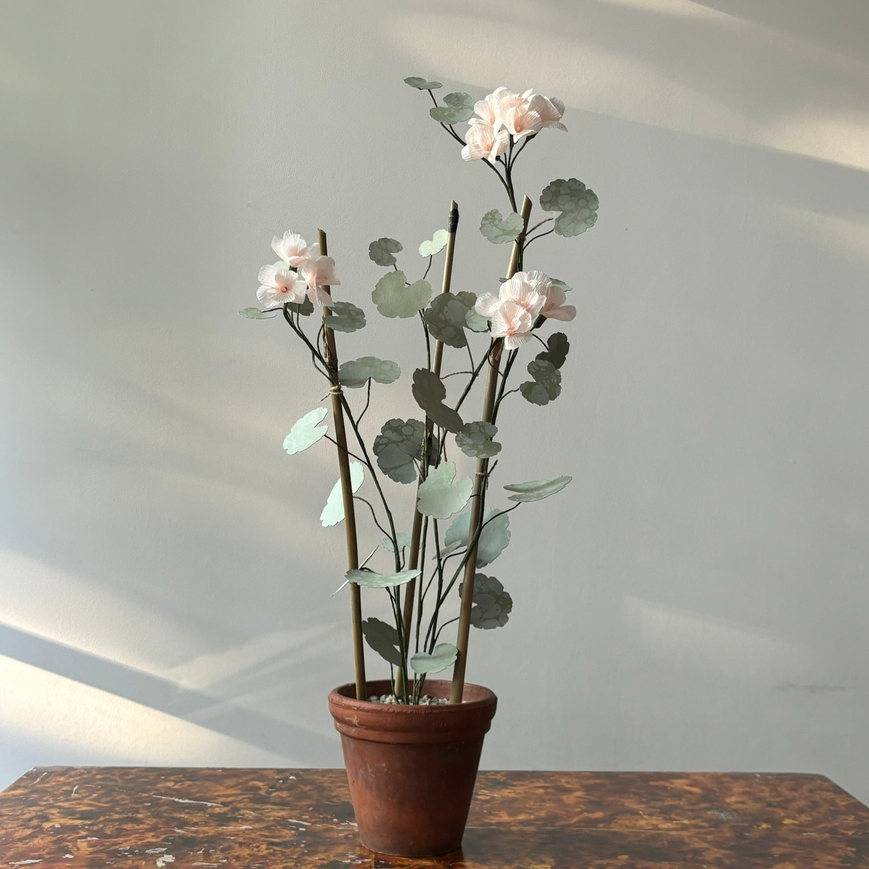 Paper Geranium