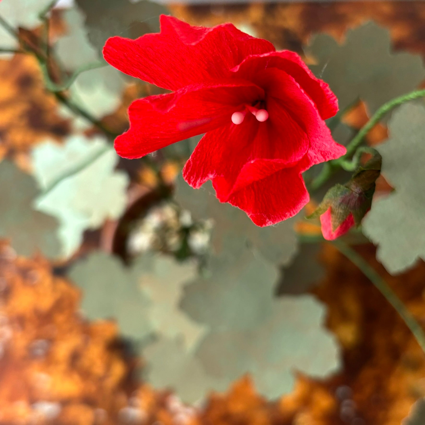 Paper Geranium