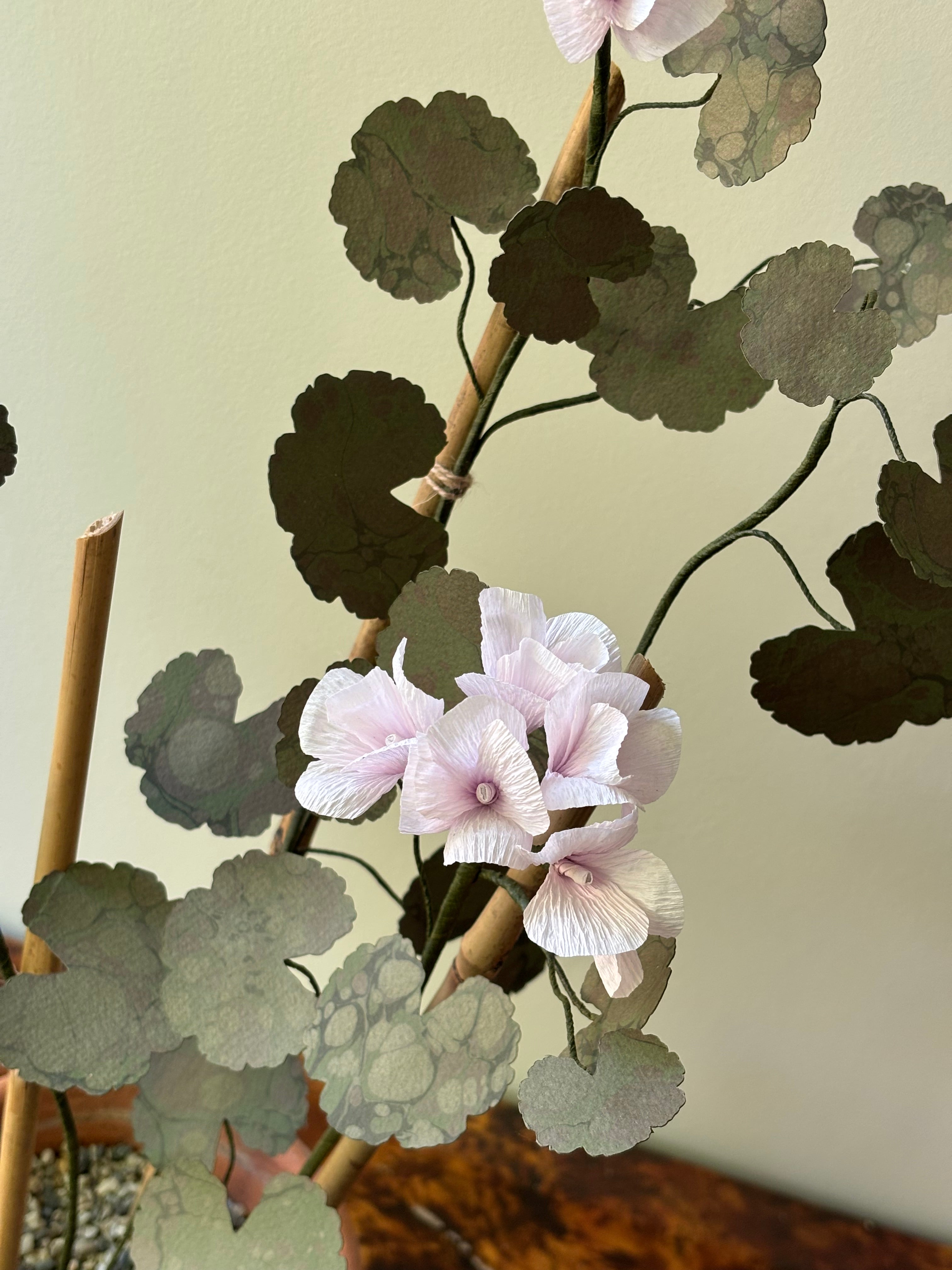 Paper Geranium