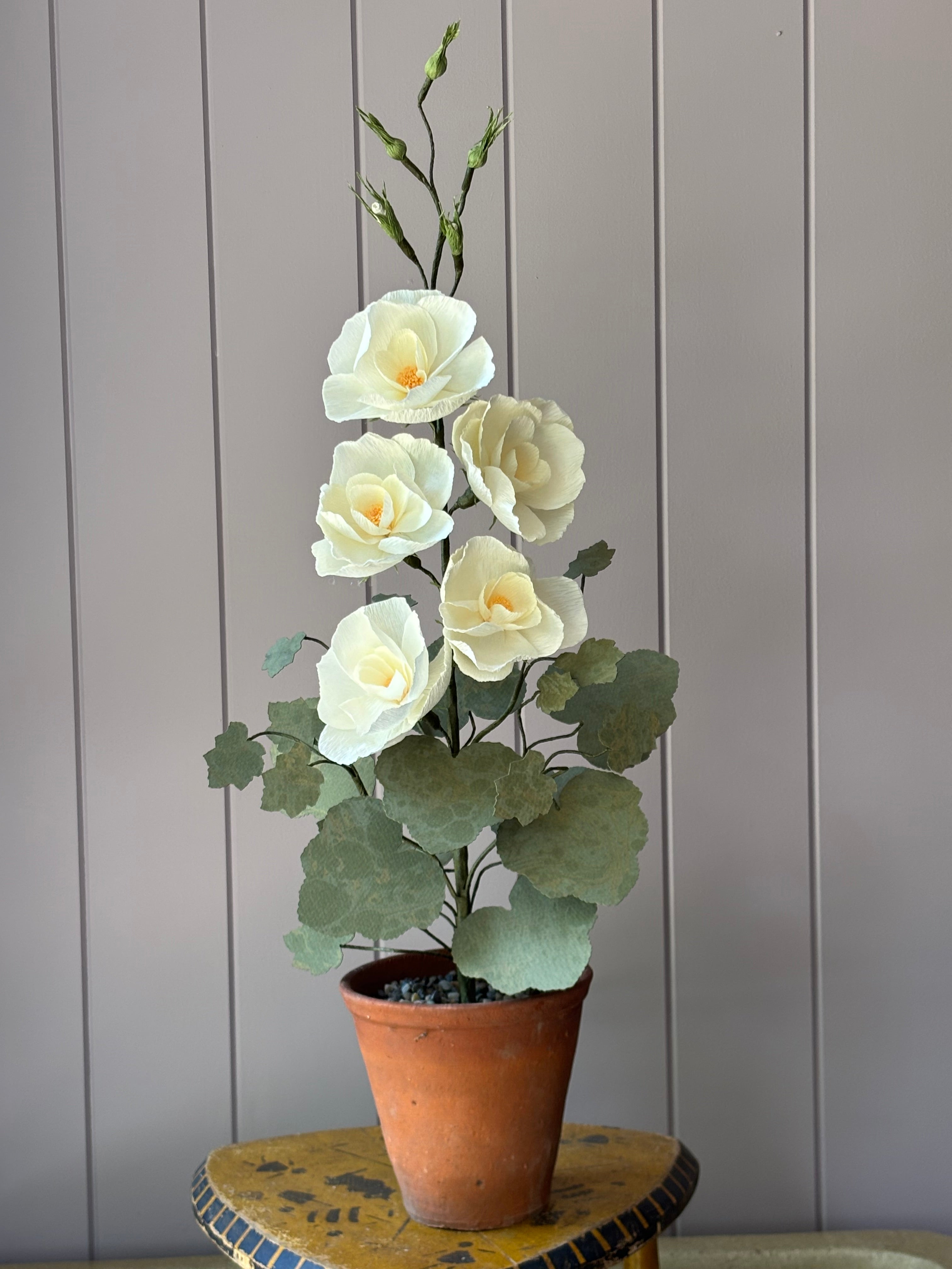 Paper Hollyhock