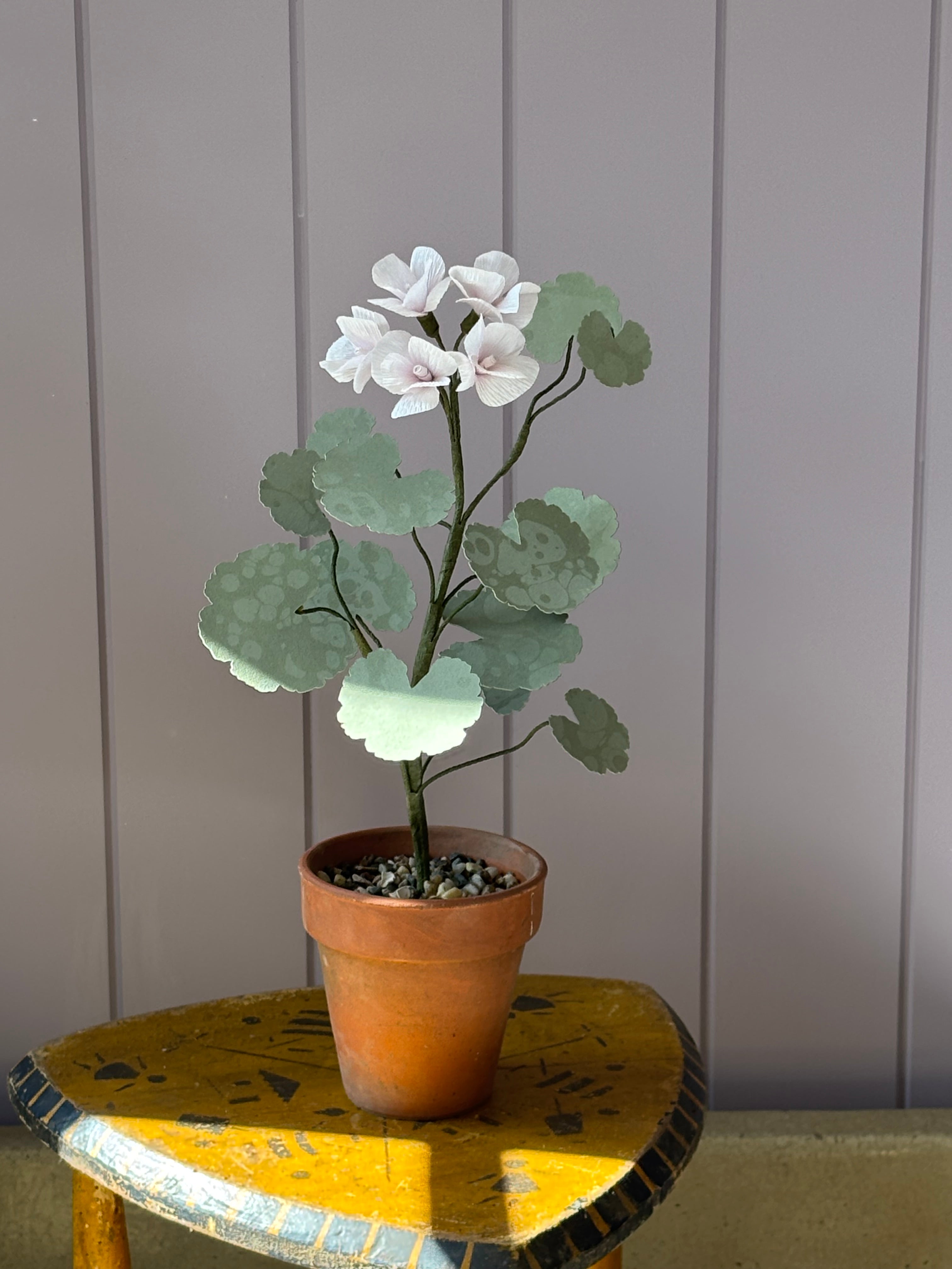 Paper Geranium