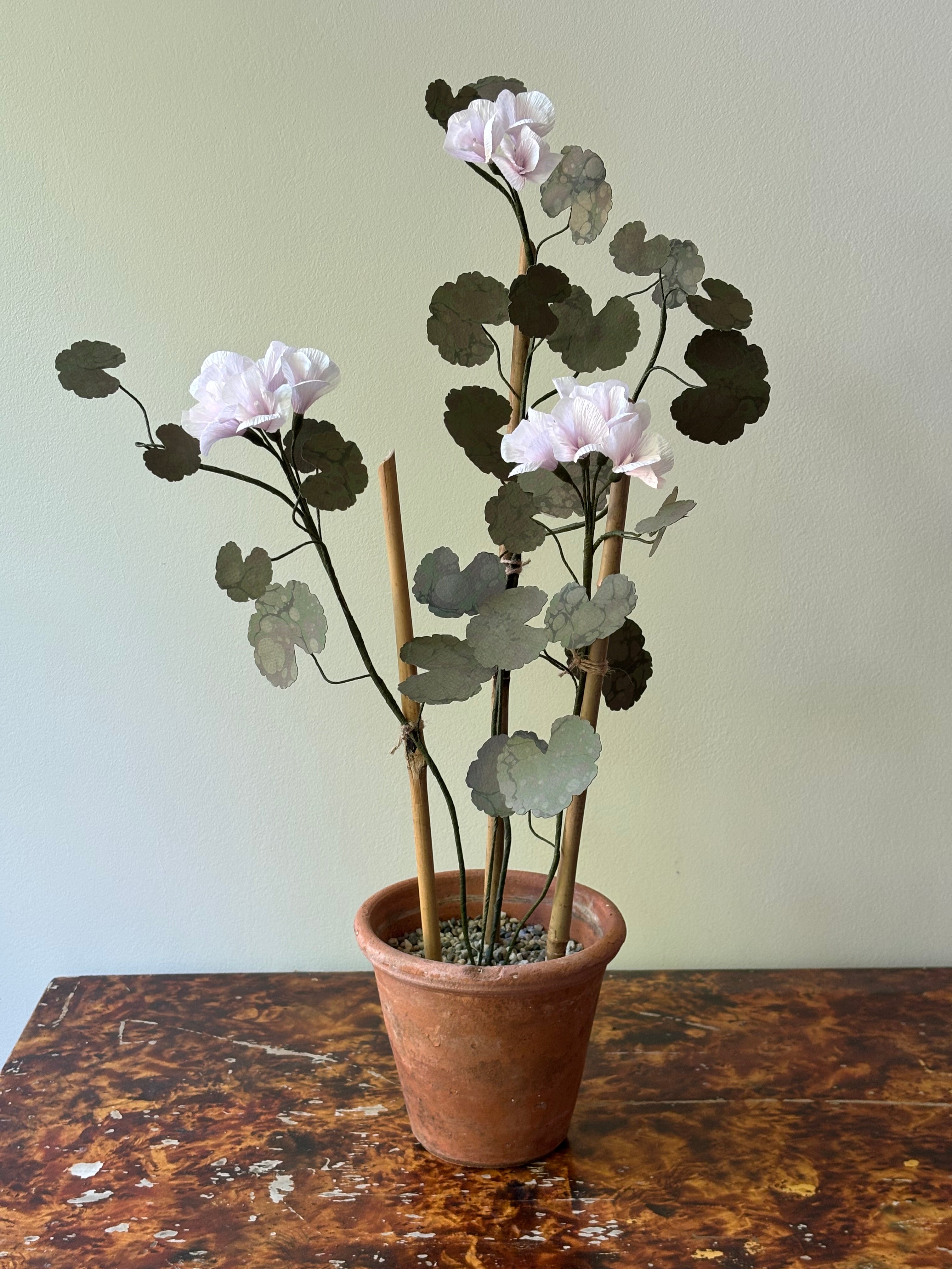 Paper Geranium