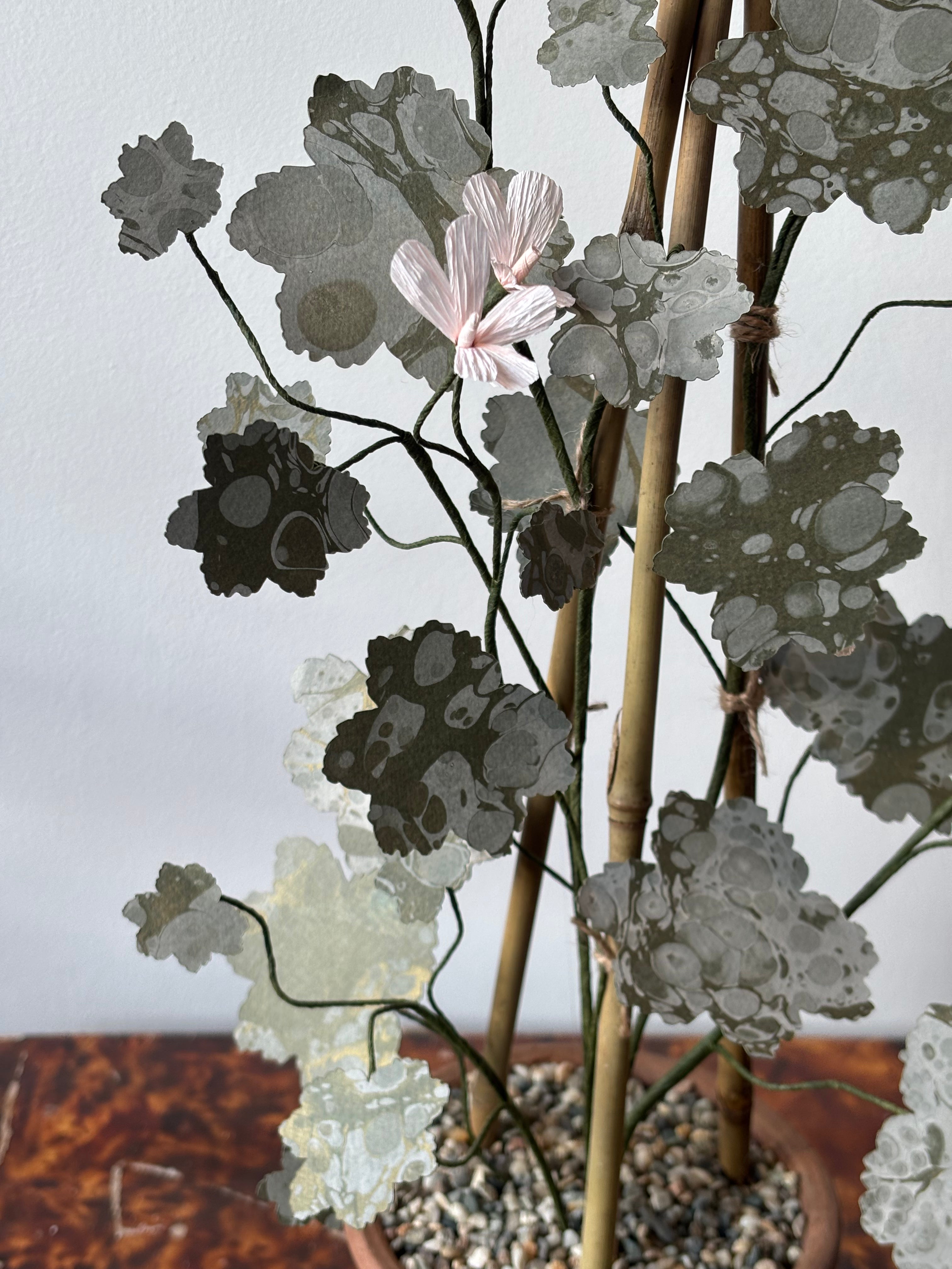 Paper Geranium