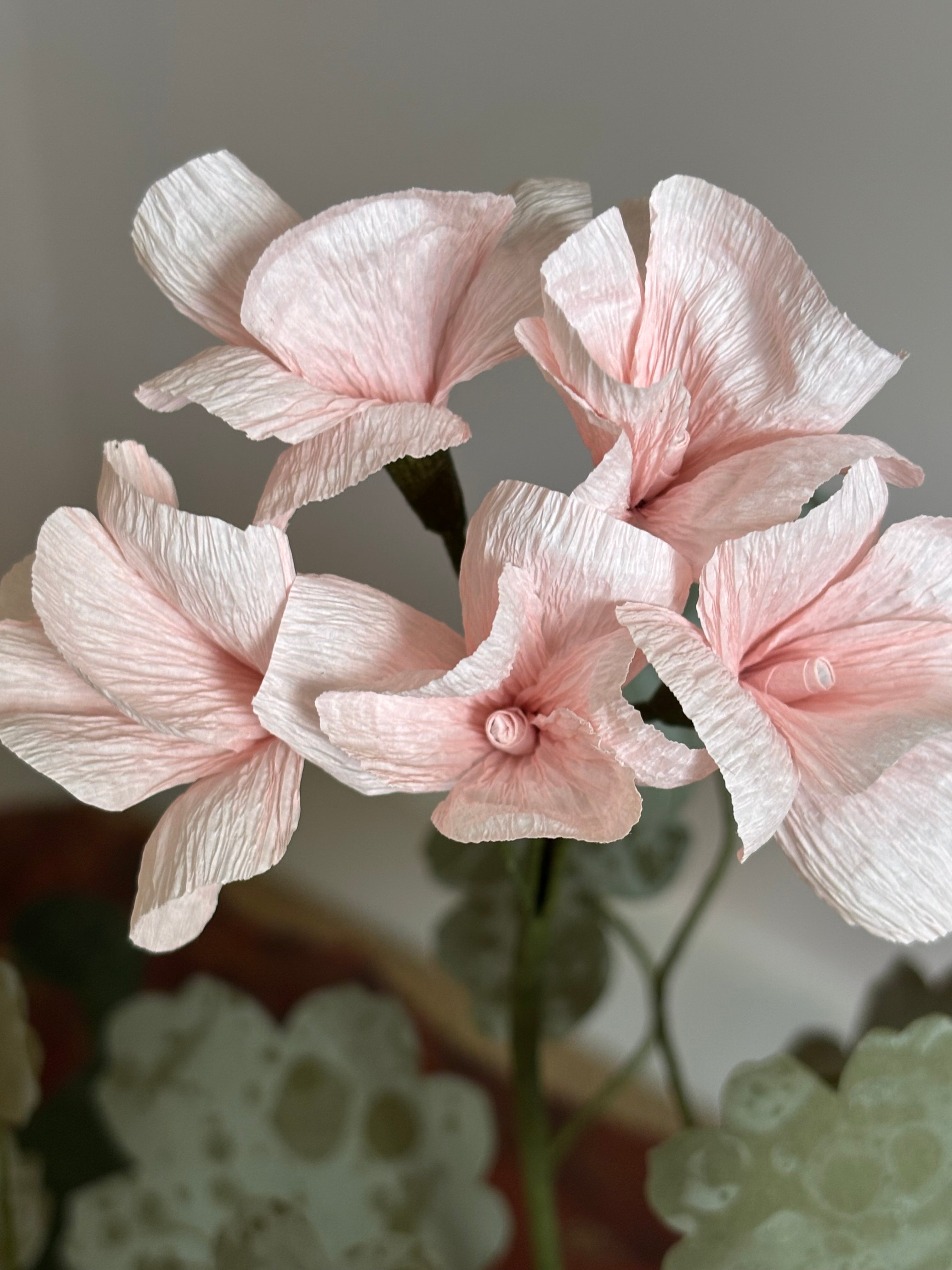 Paper Geranium