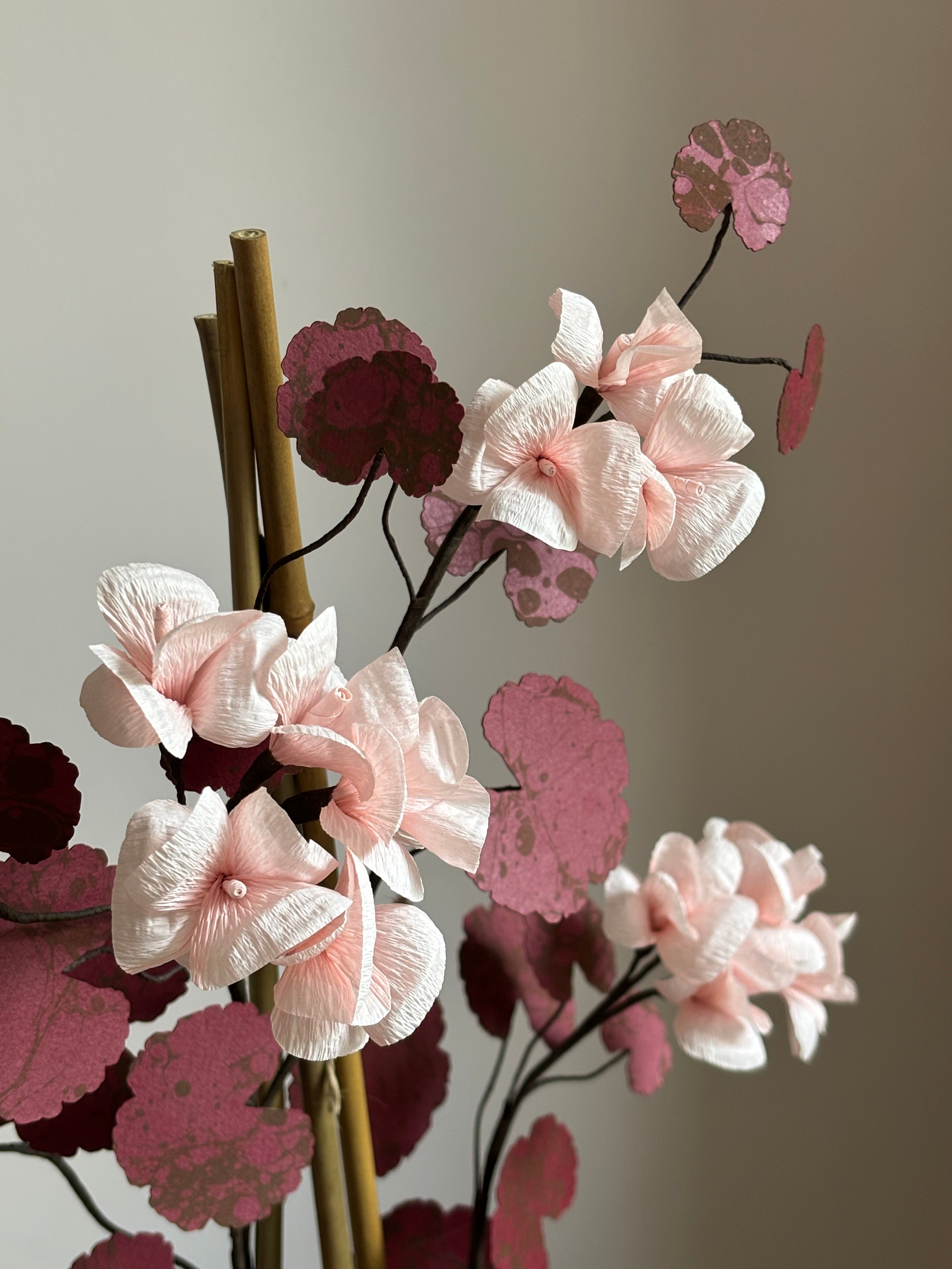 Paper Geranium