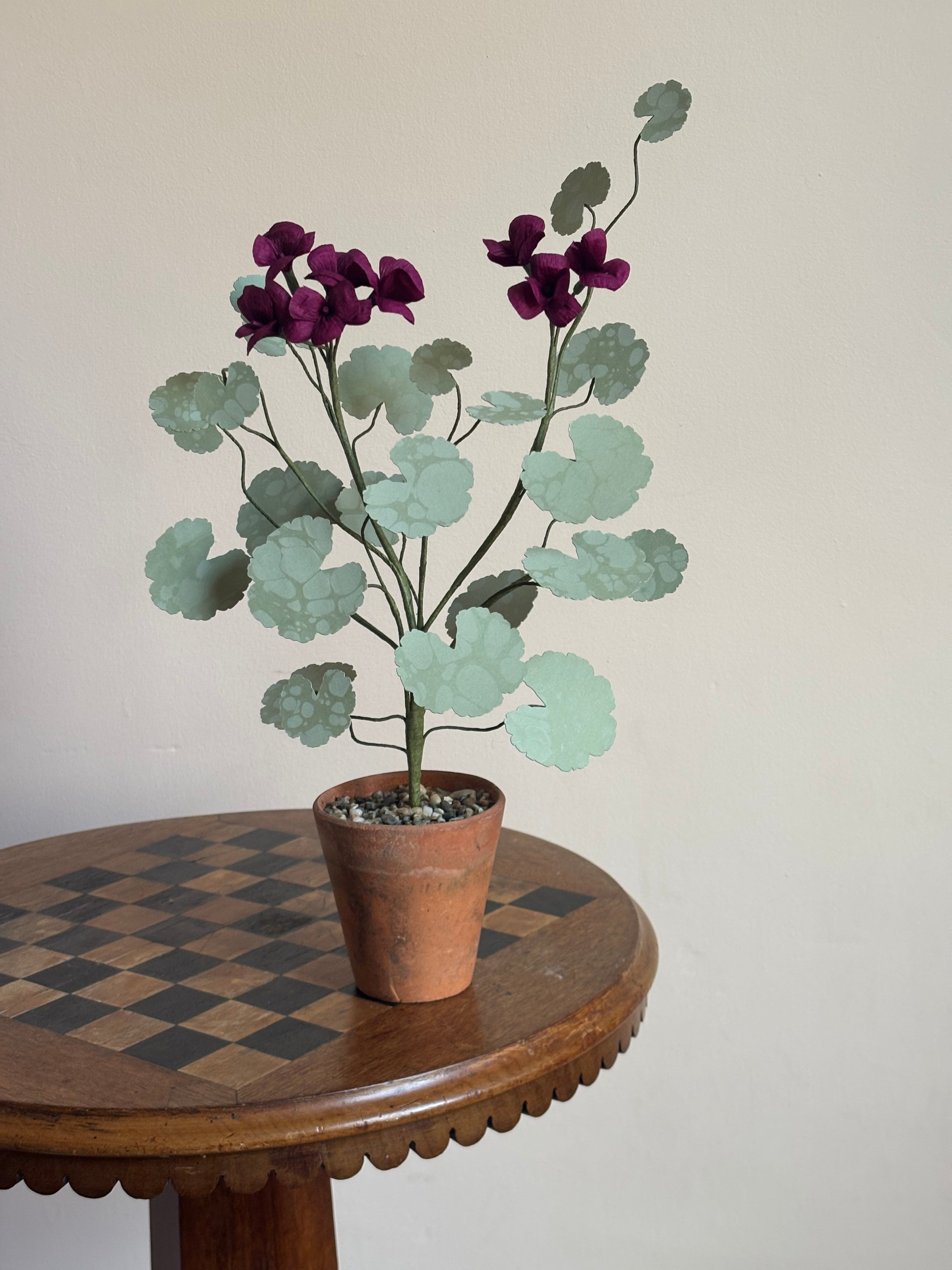 Paper Geranium