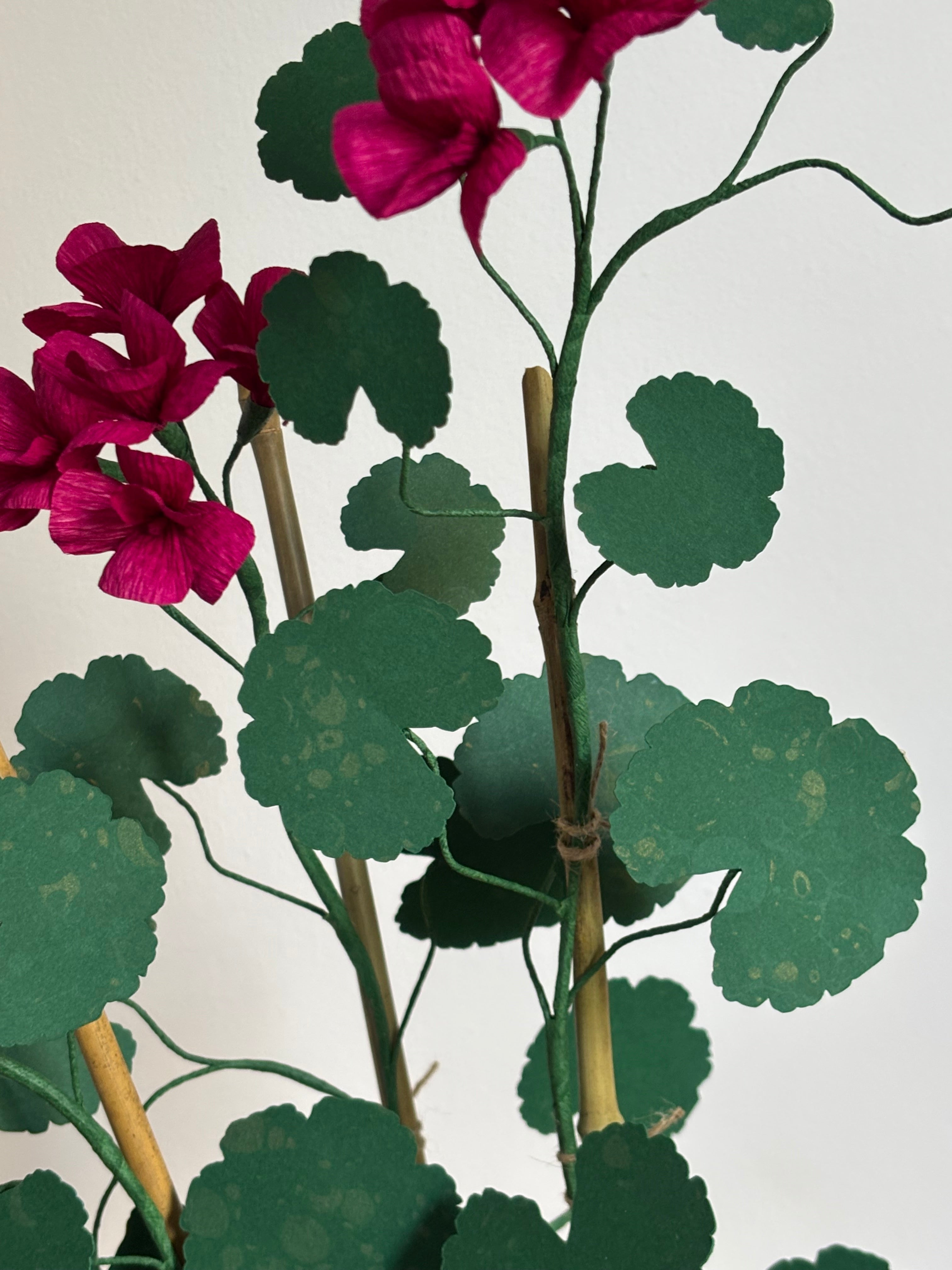 Paper Geranium